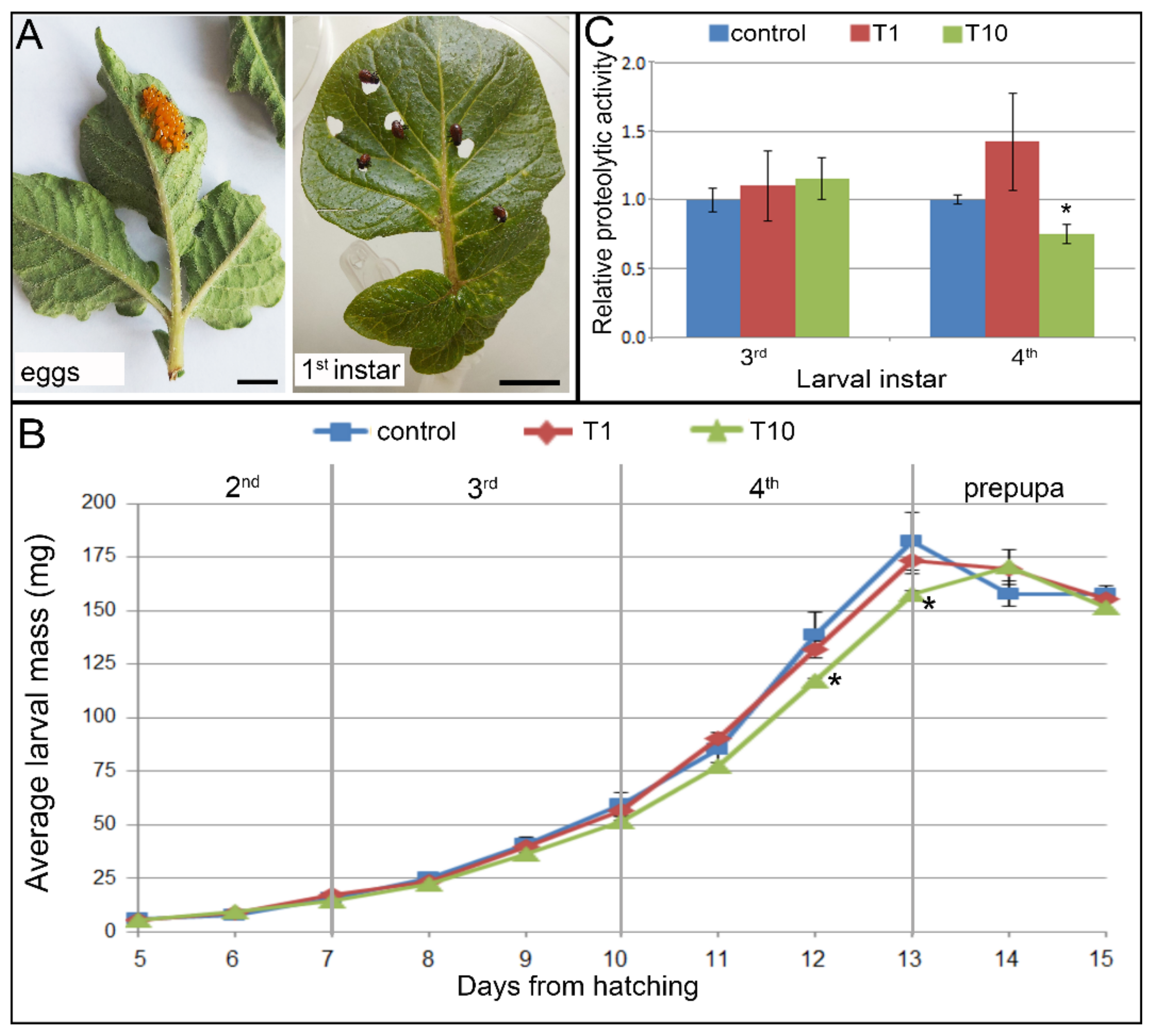 Plants 11 00407 g003