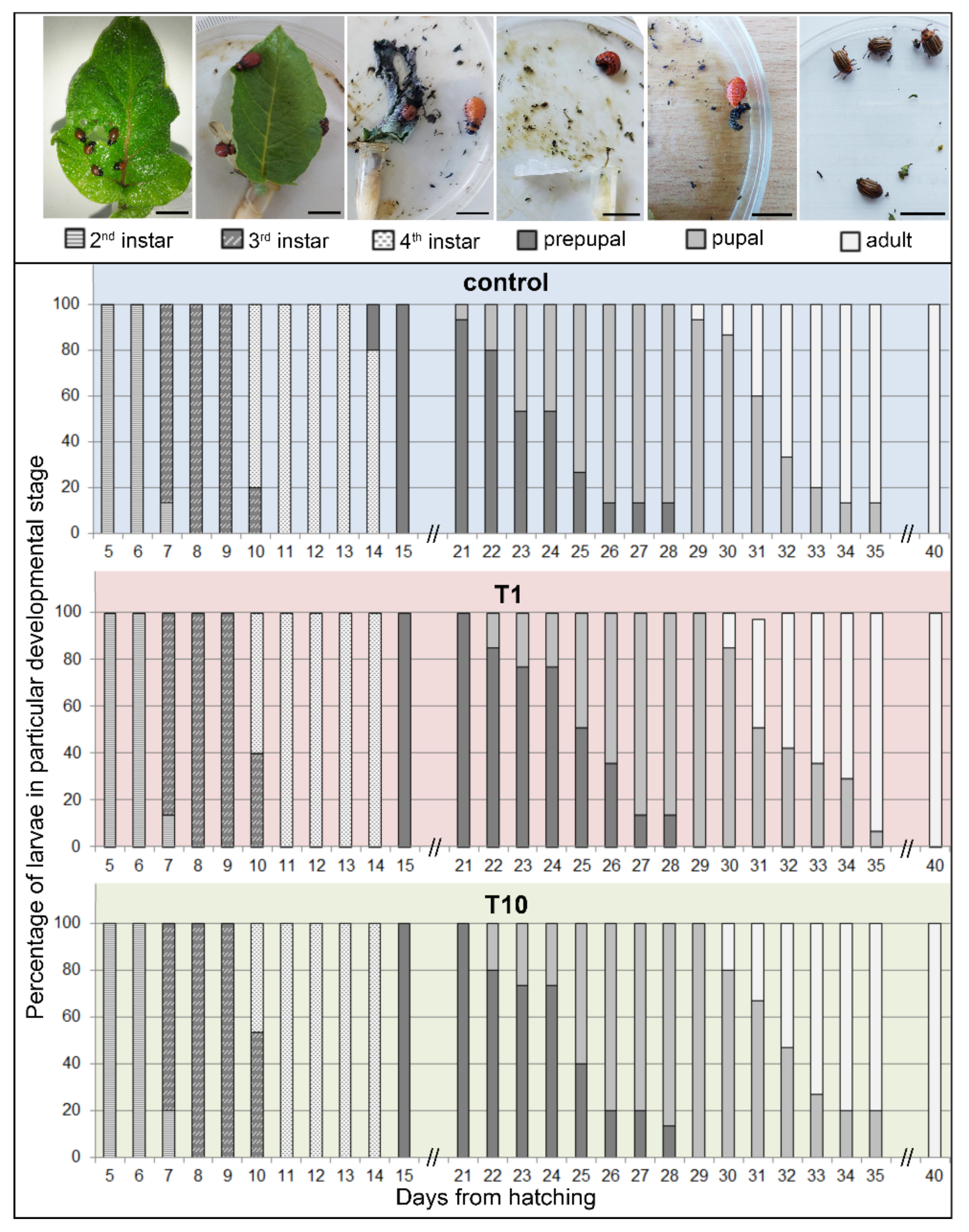 Plants 11 00407 g004