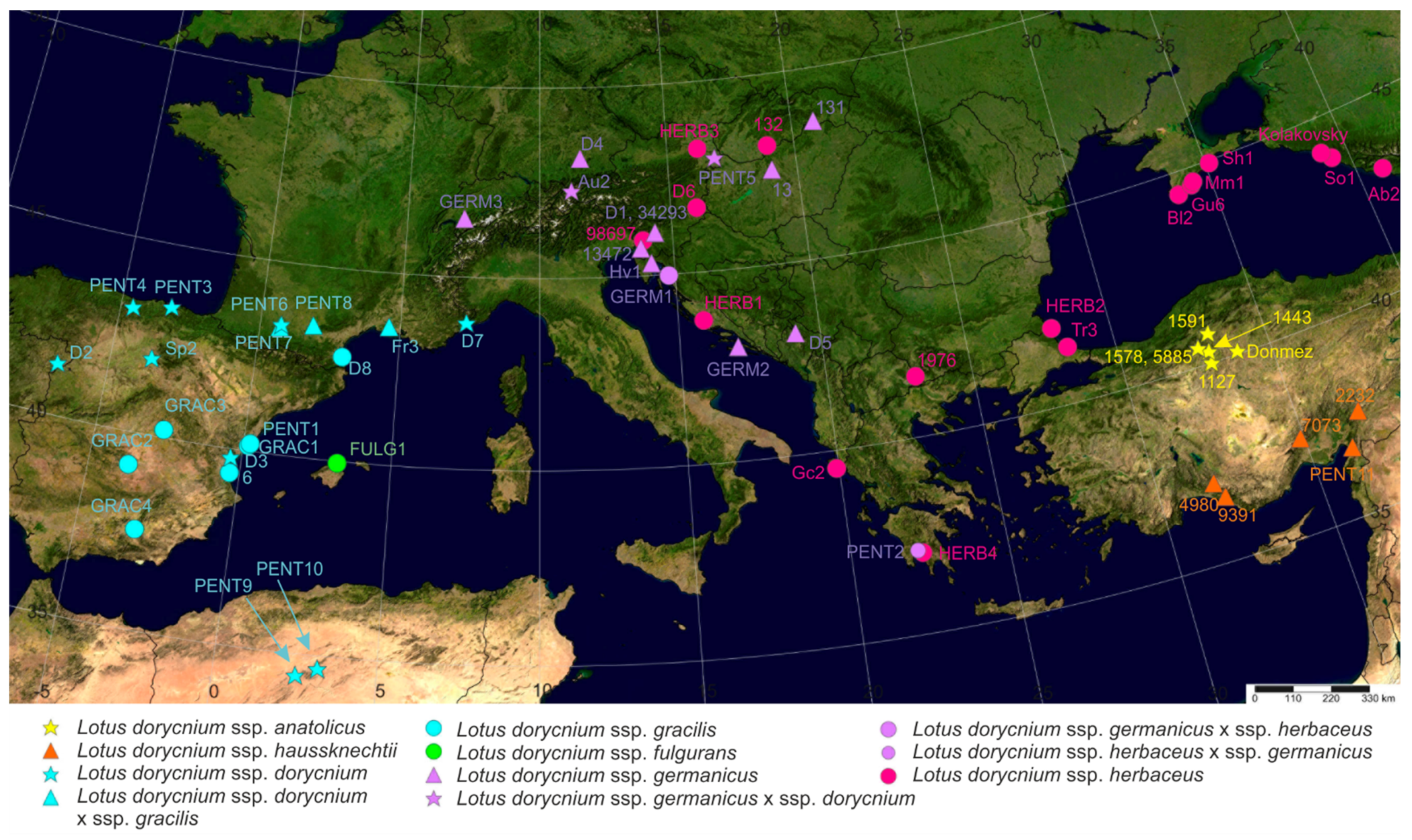 Plants 11 00410 g008
