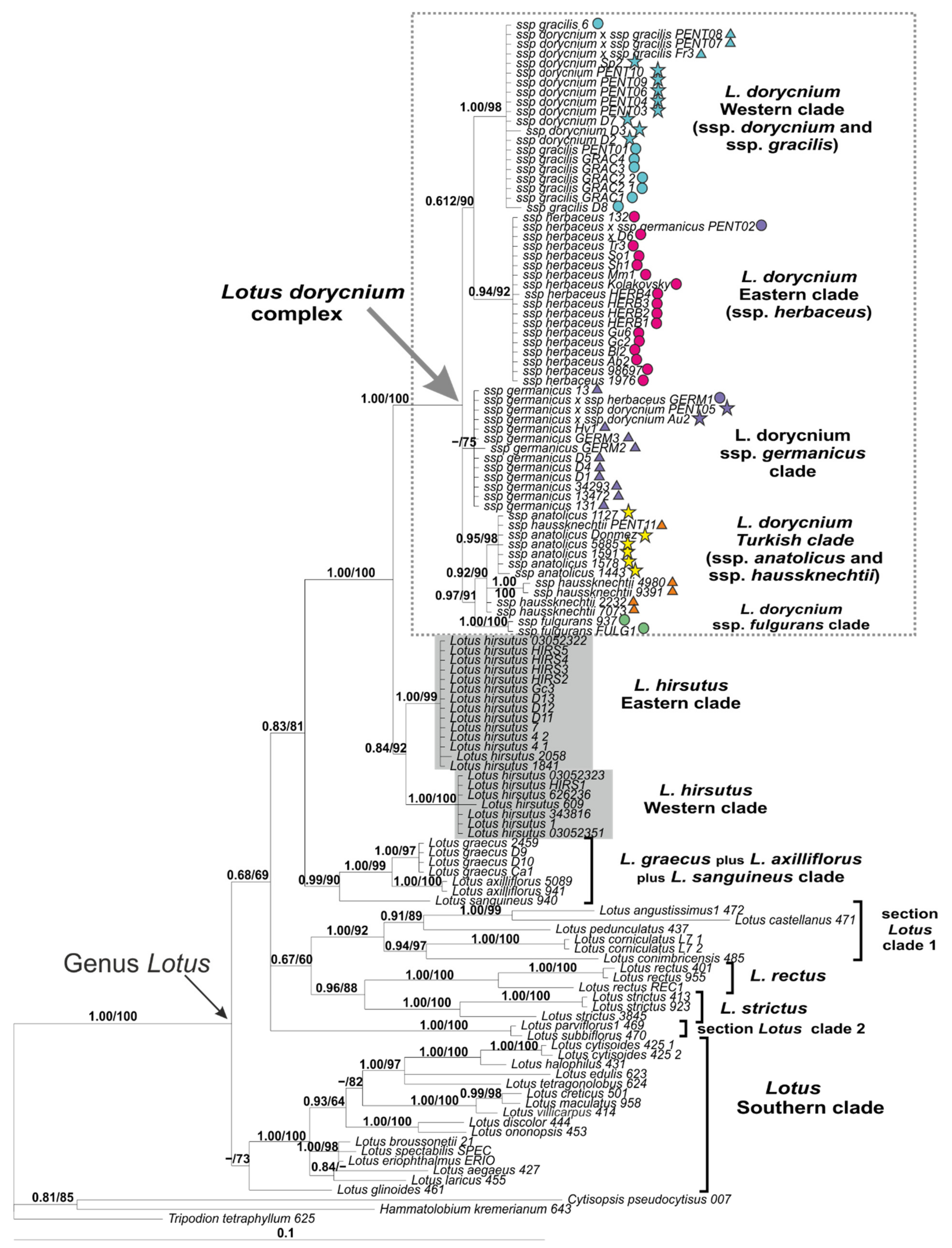 Plants 11 00410 g010