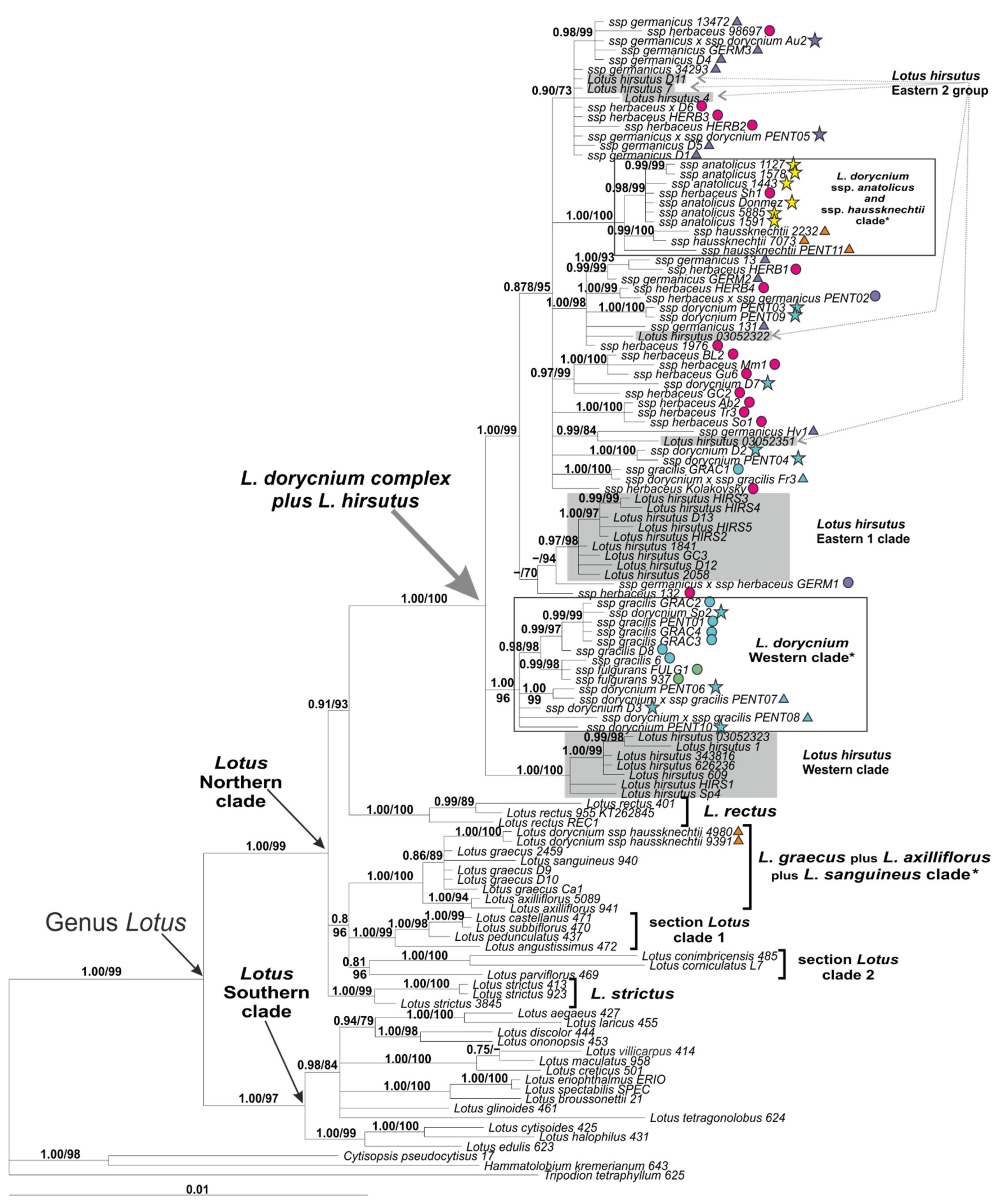 Plants 11 00410 g011