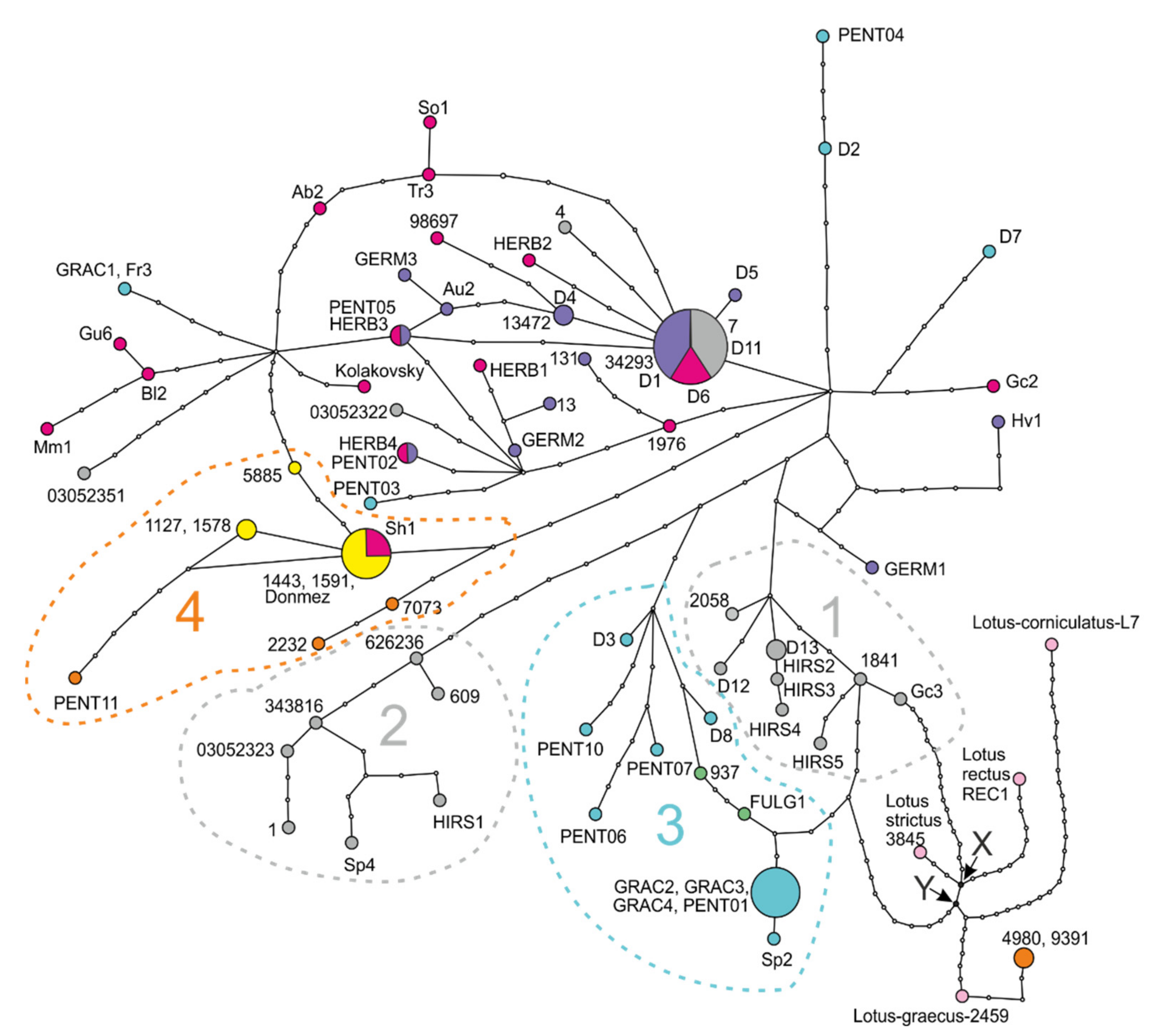 Plants 11 00410 g012