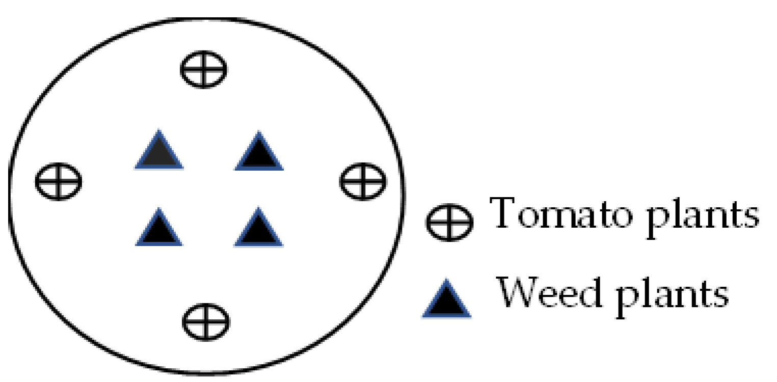 Plants 11 00411 g001 550