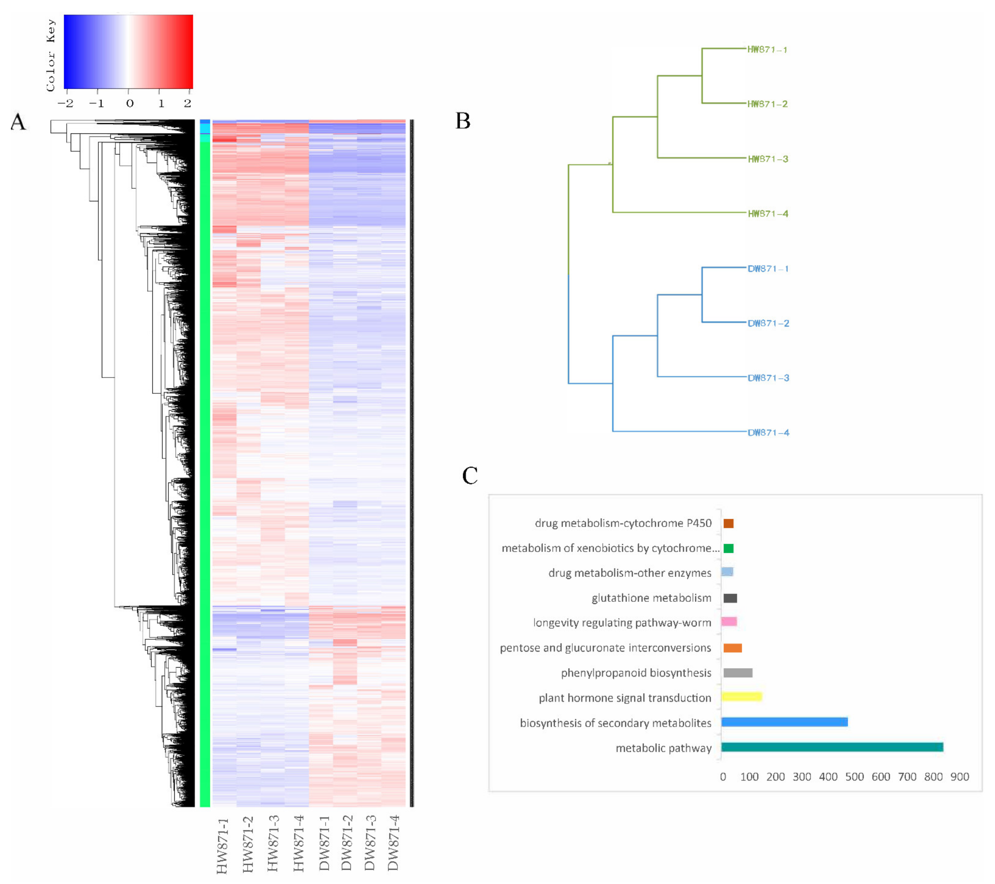 Plants 11 00413 g003 550