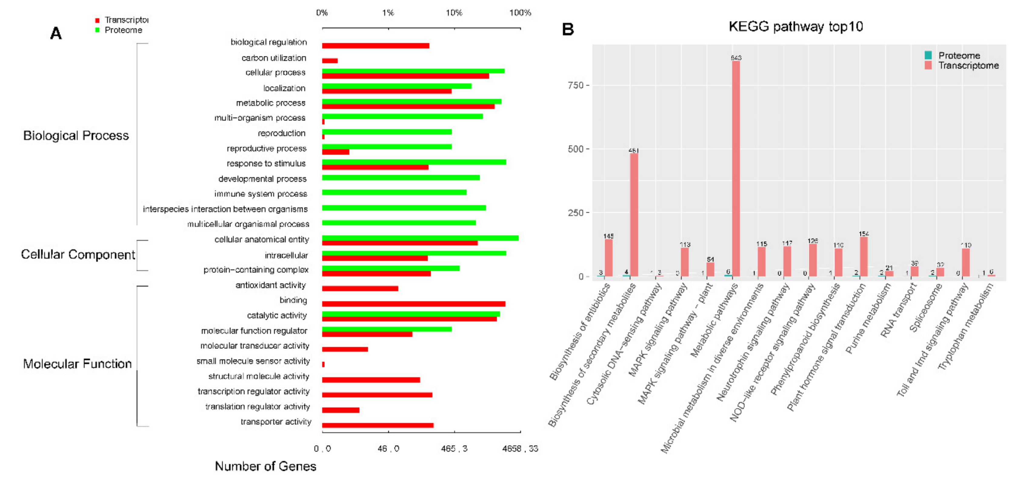 Plants 11 00413 g007 550