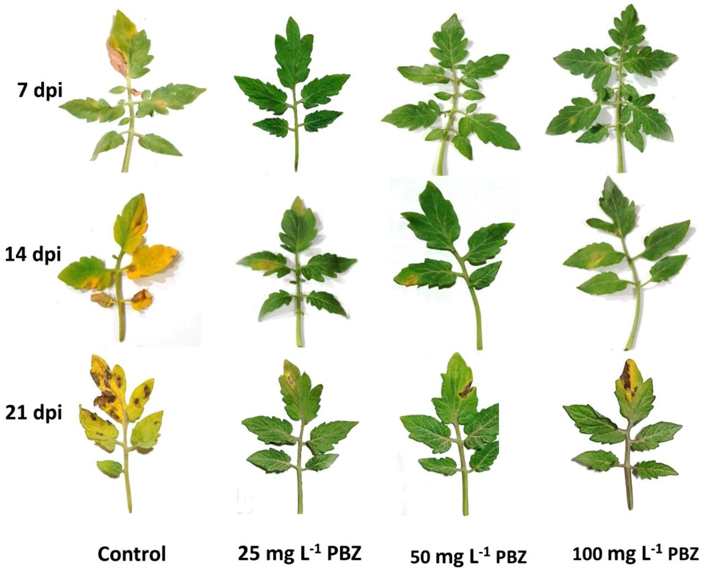 Plants 11 00425 g002 550