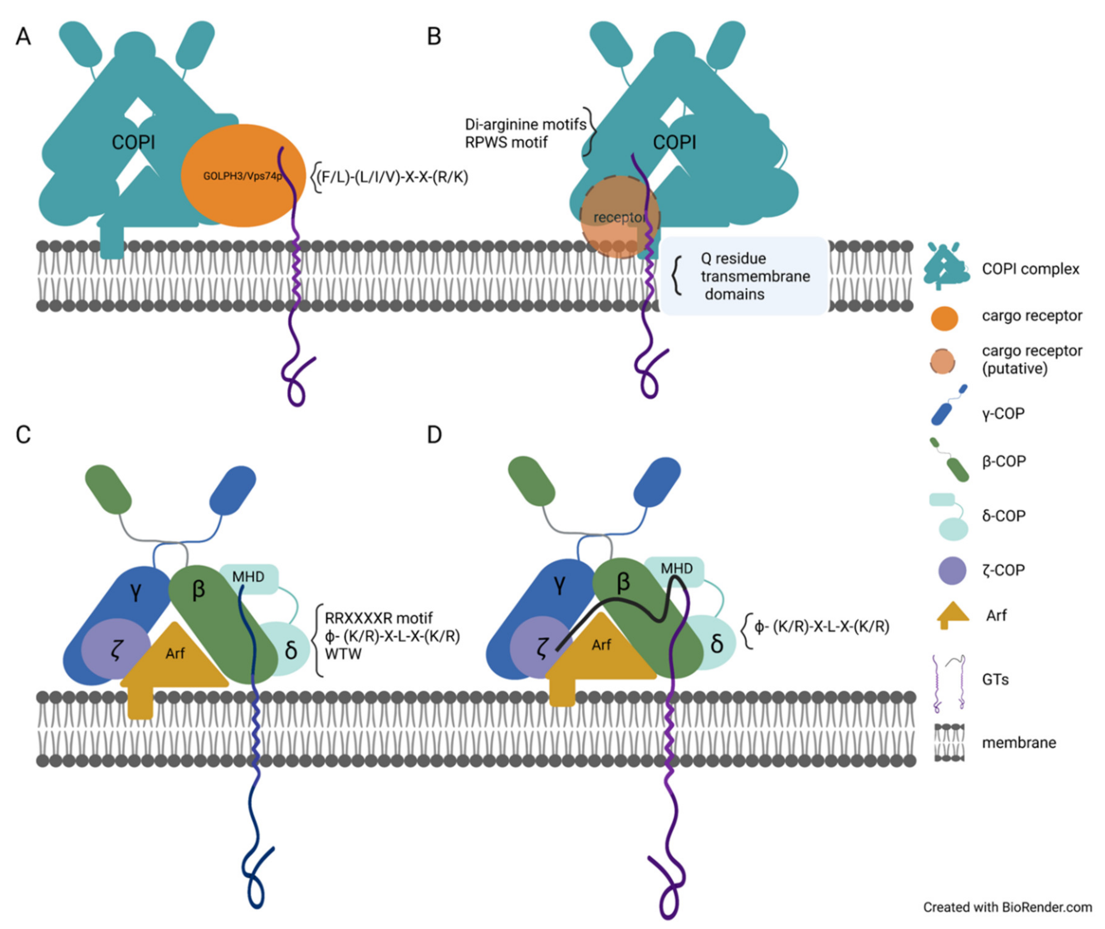 Plants 11 00428 g002