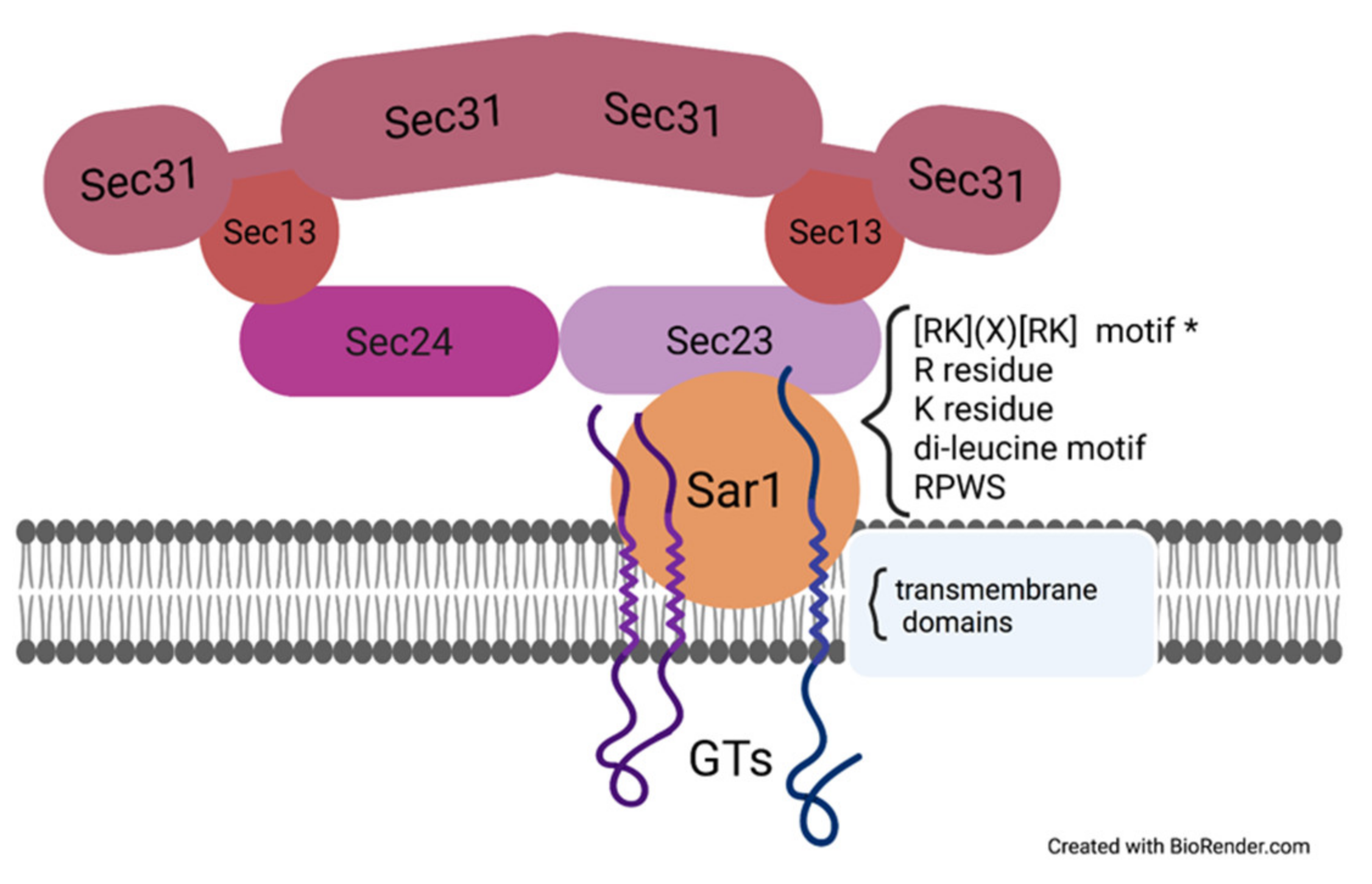 Plants 11 00428 g003