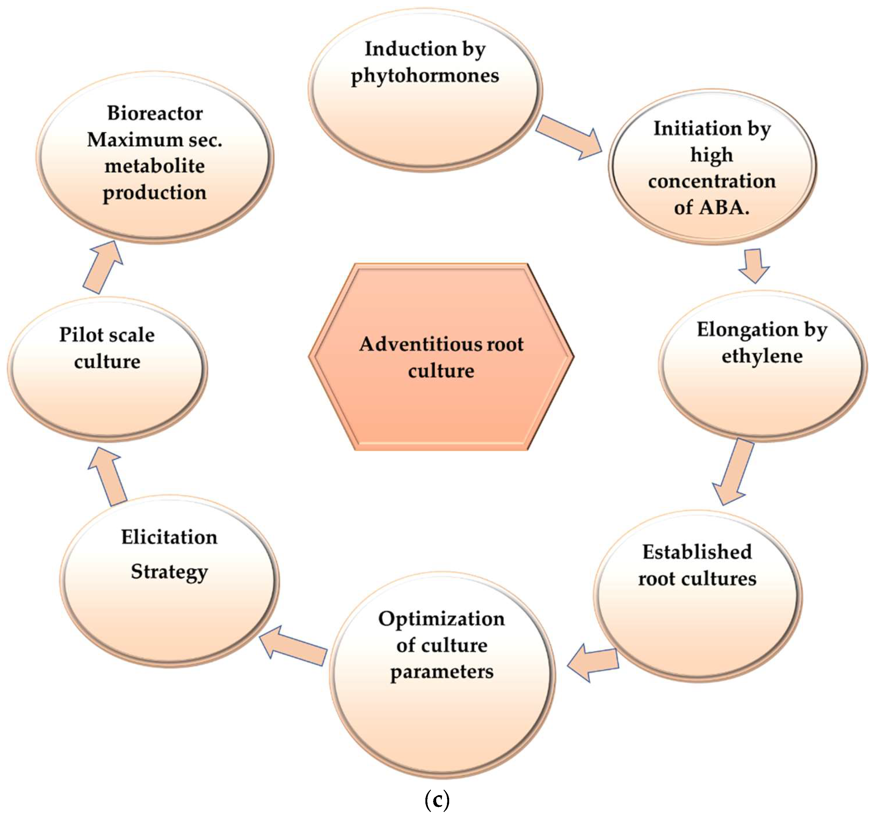 Plants 11 00439 g001b