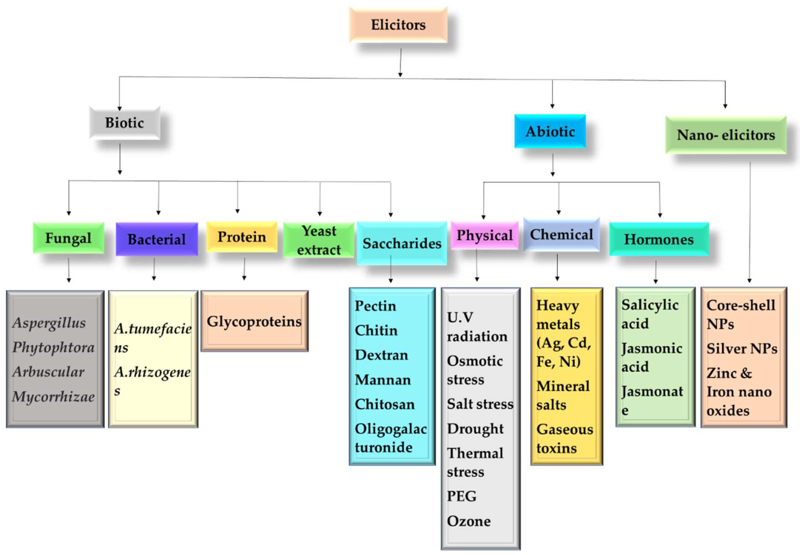Plants 11 00439 g003