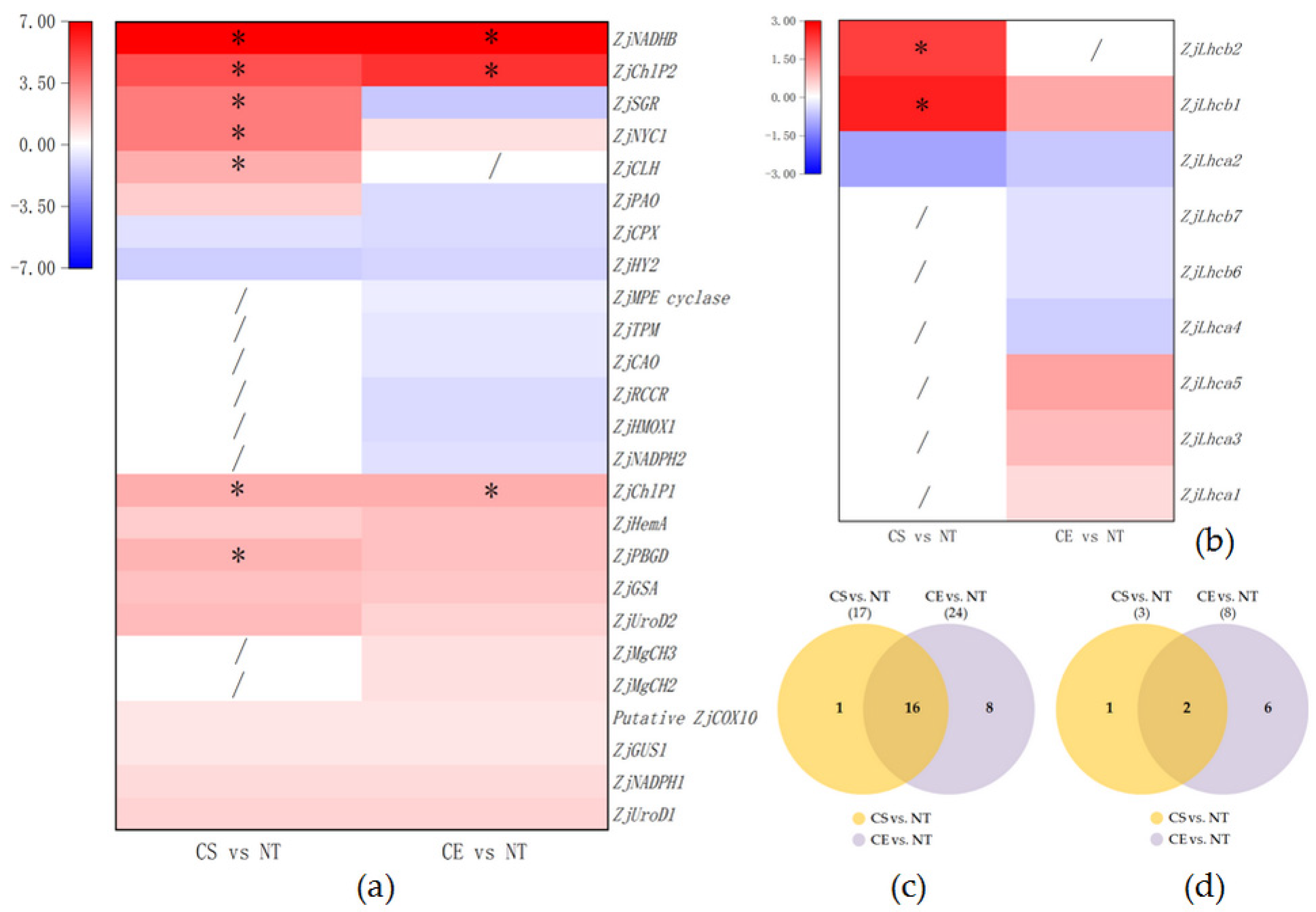 Plants 11 00442 g005 Plants 11 00442 g005