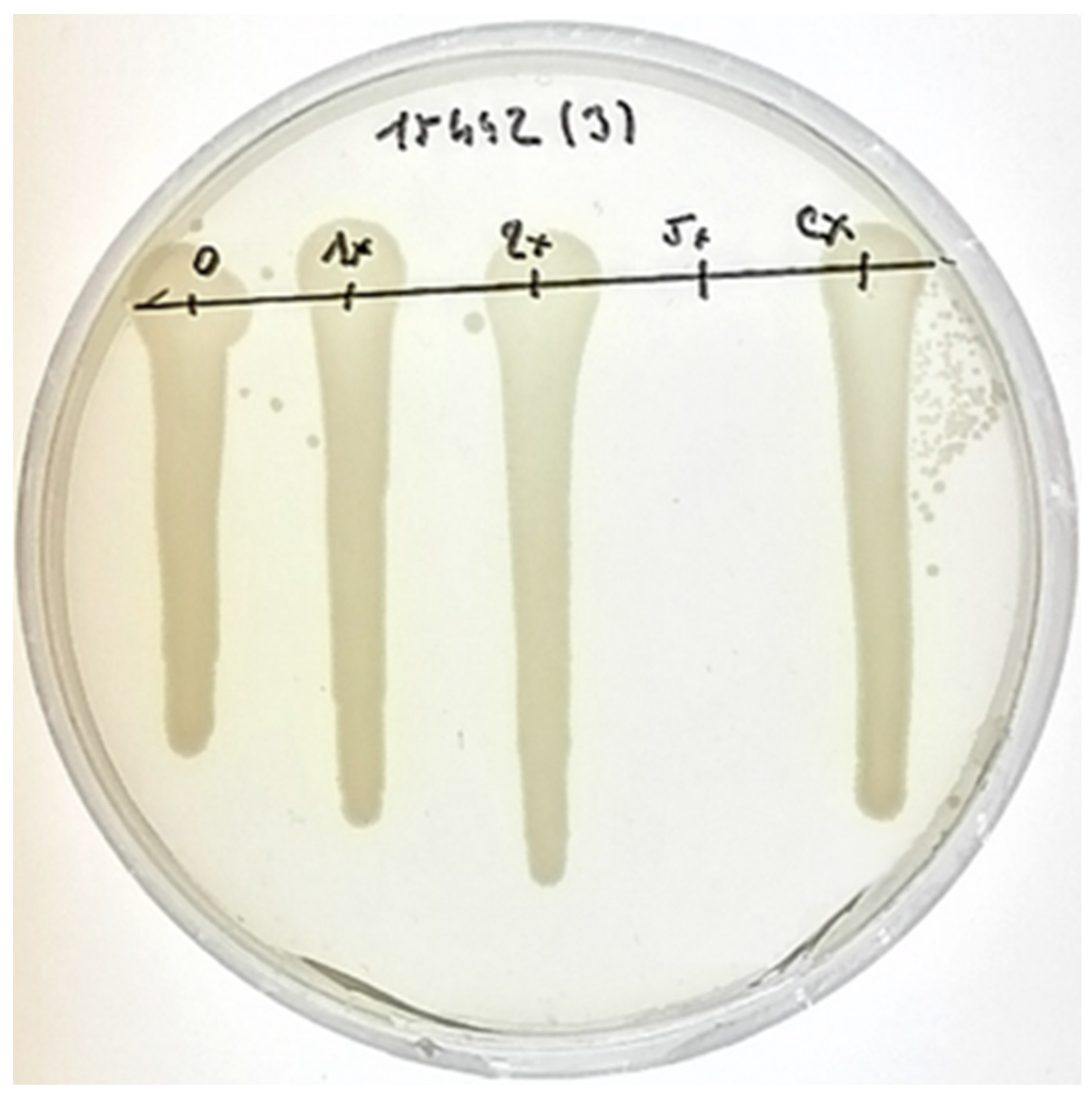 Plants 11 00443 g004 550