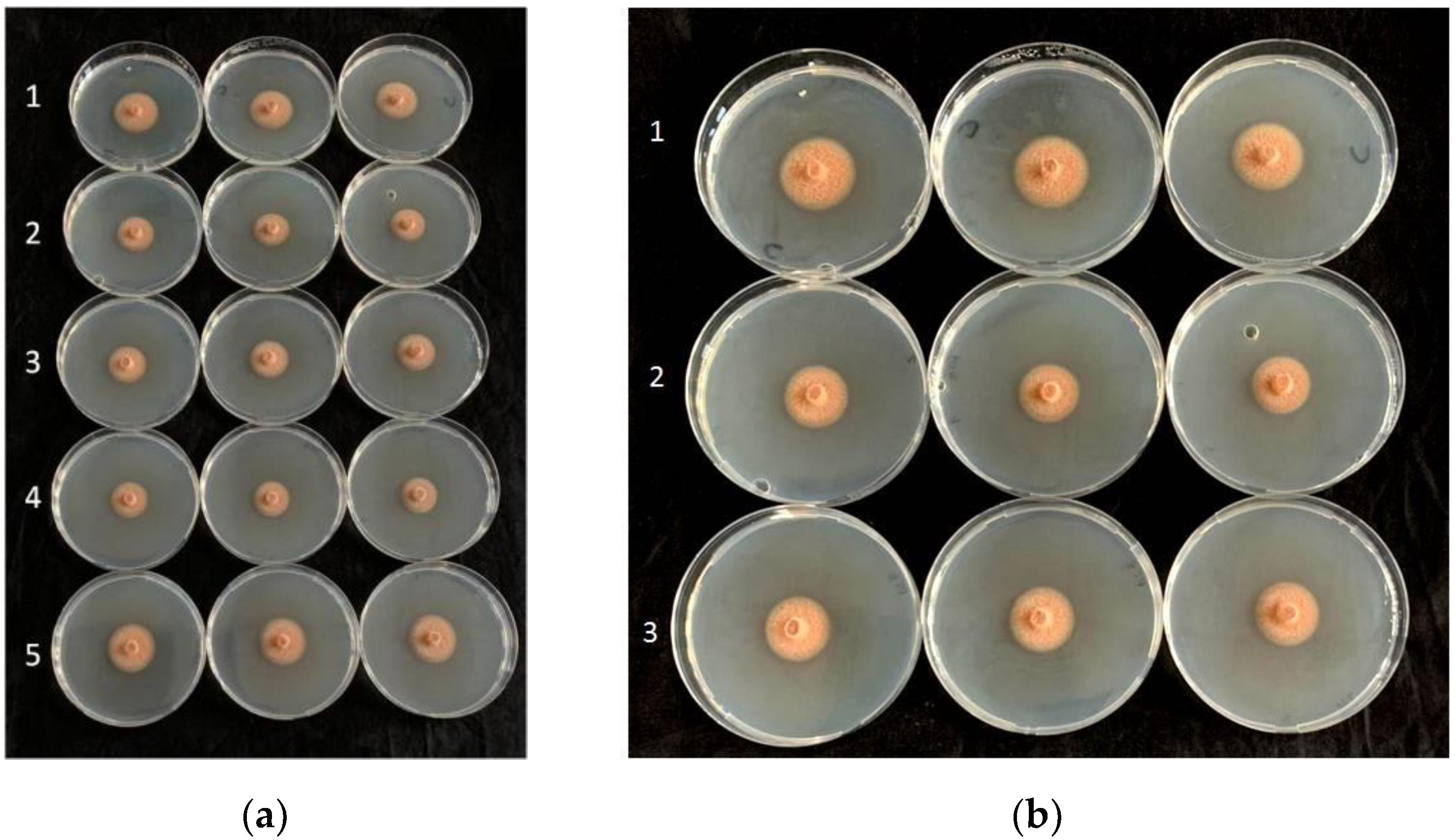 Plants 11 00446 g002