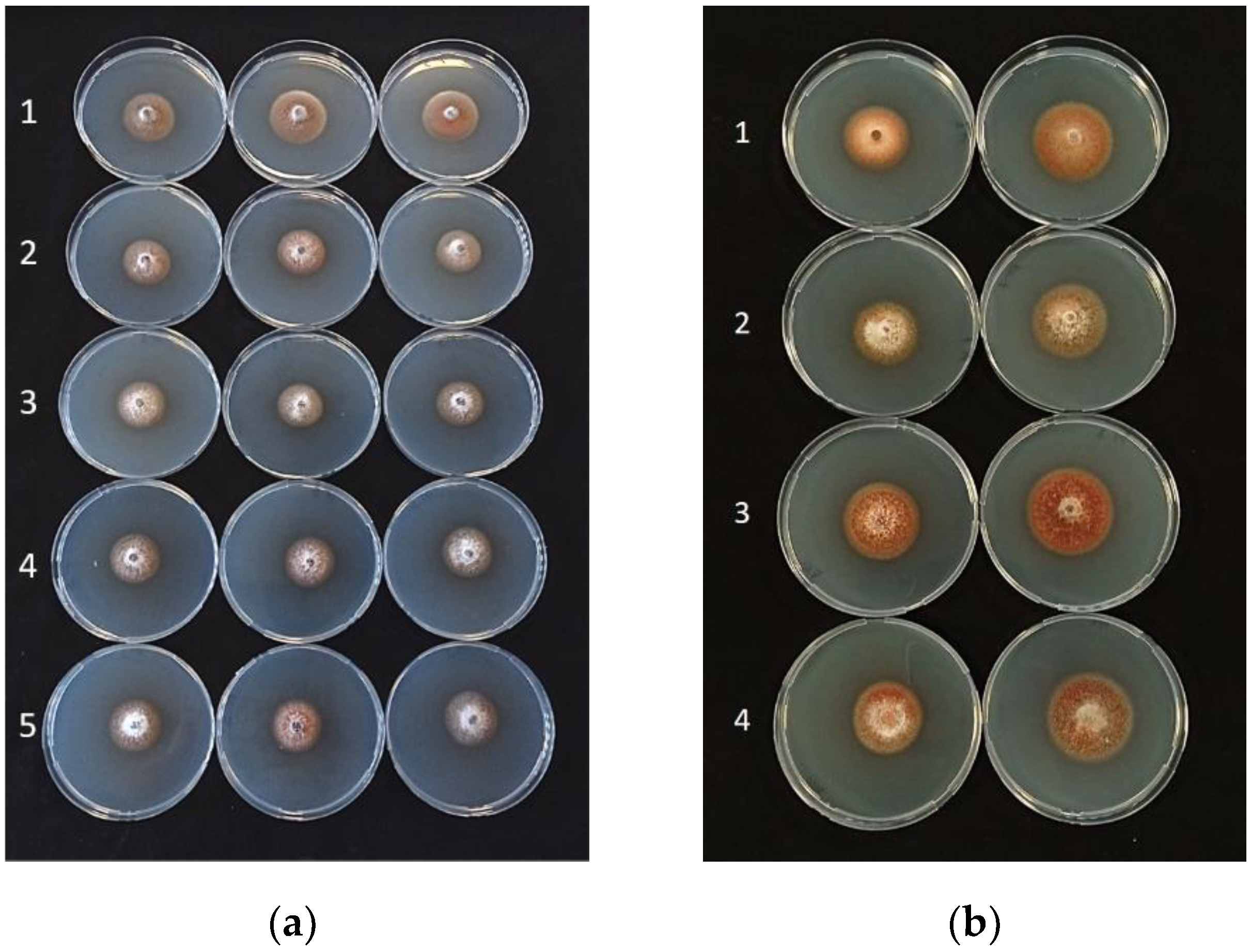 Plants 11 00446 g003