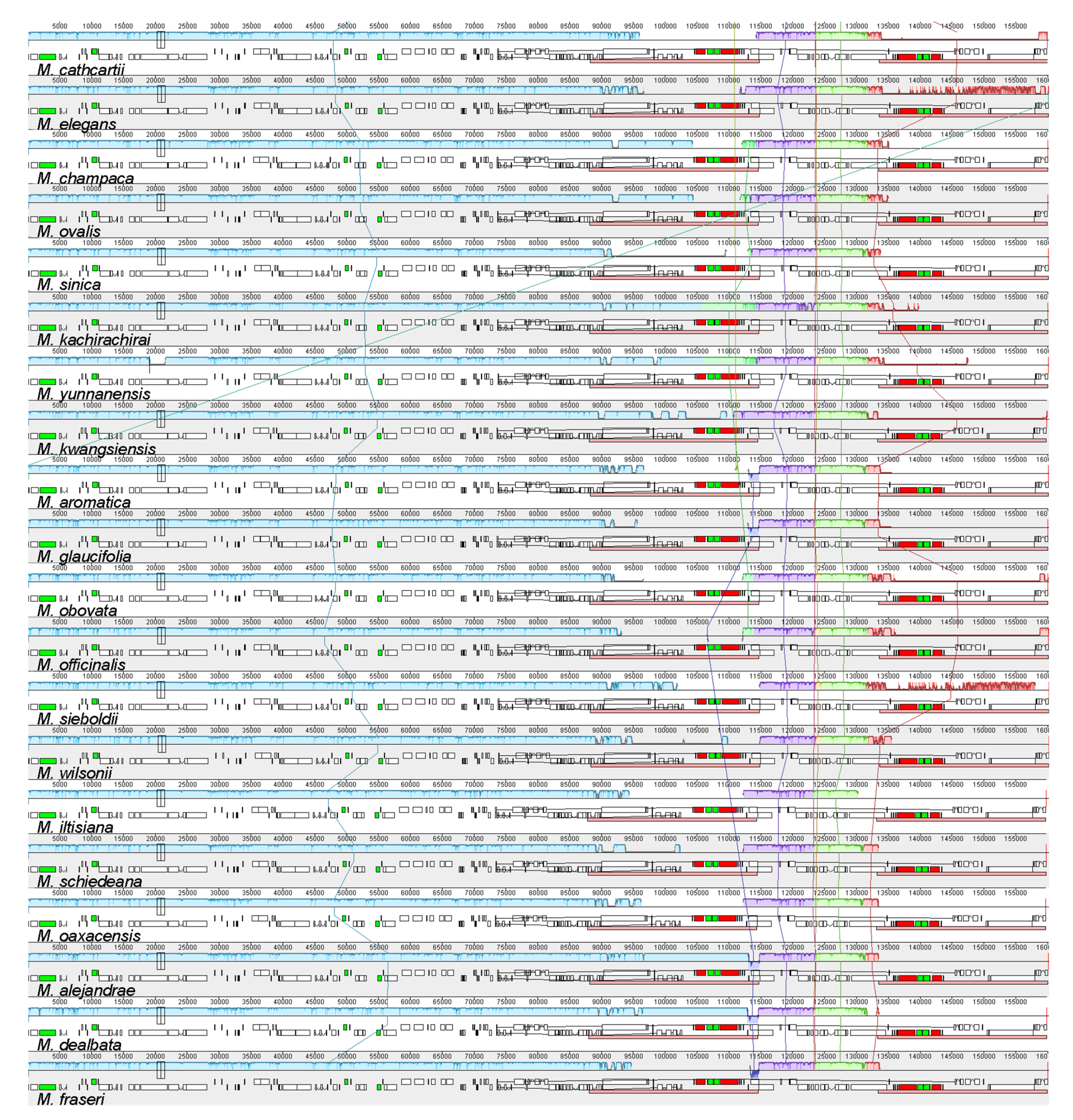 Plants 11 00448 g001b 550