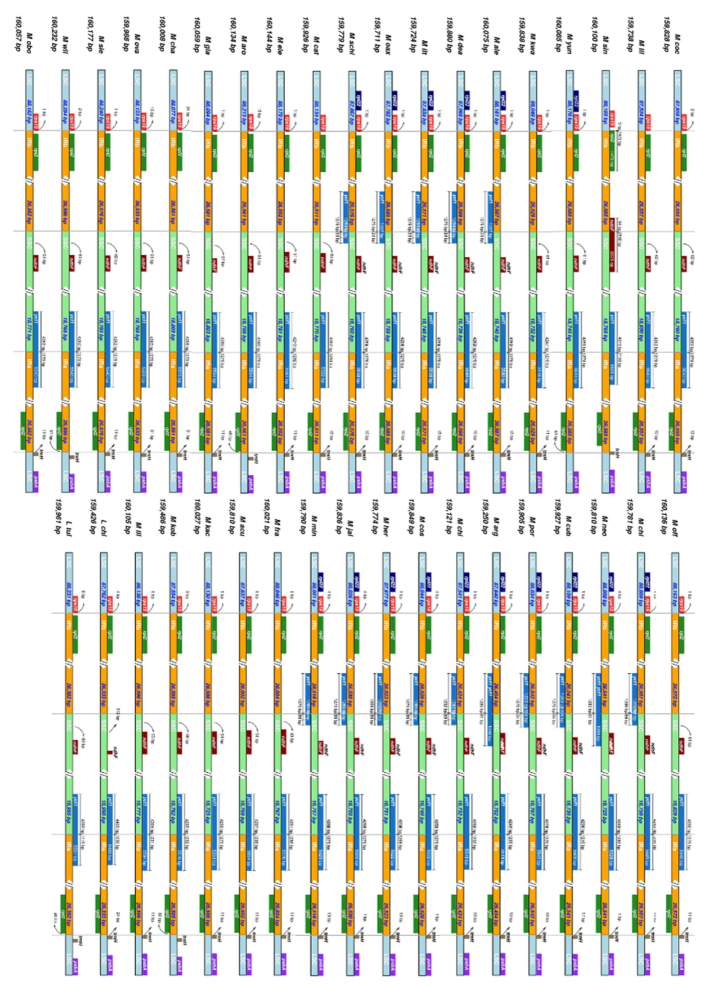 Plants 11 00448 g003 550