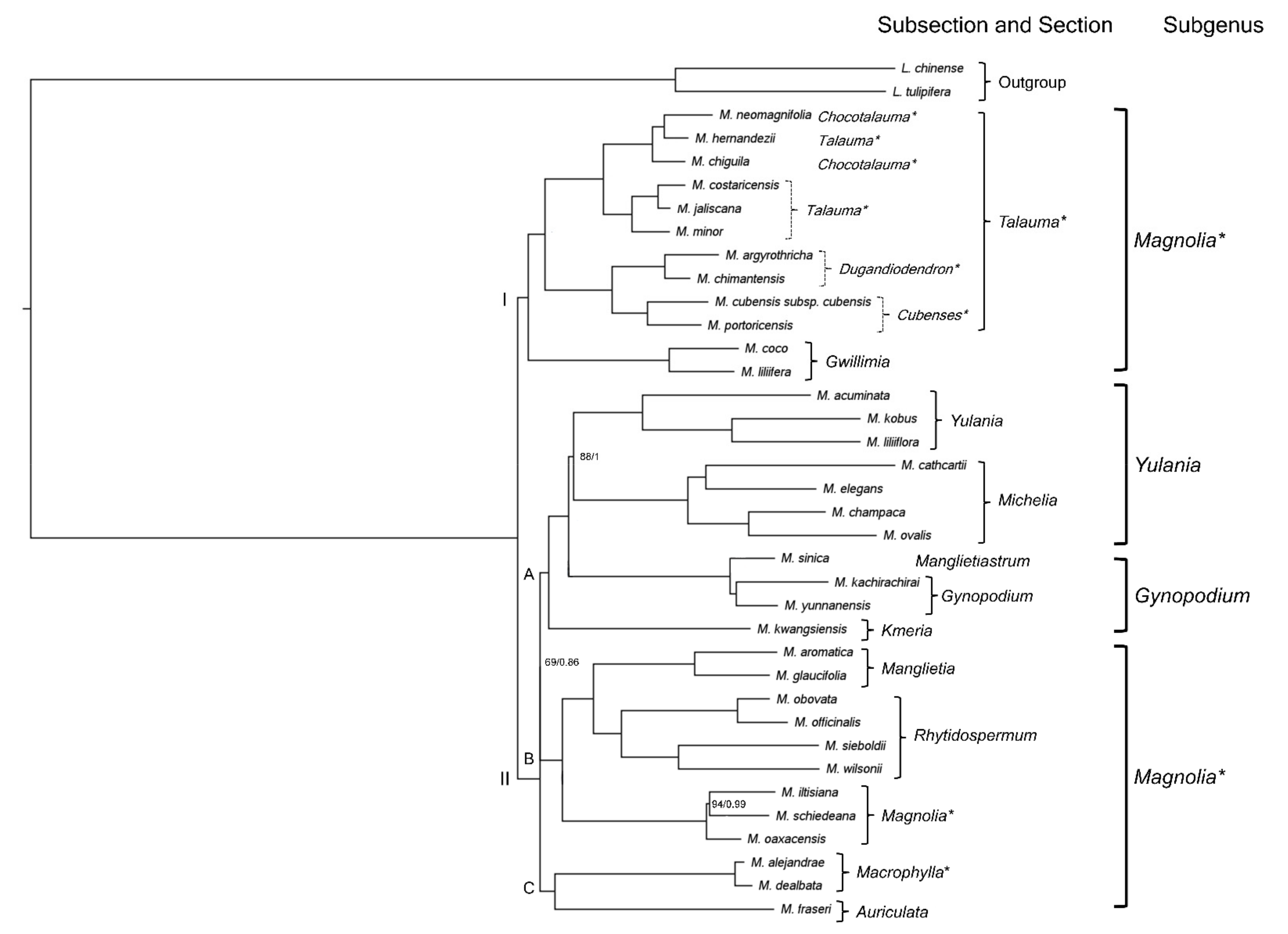 Plants 11 00448 g004 550
