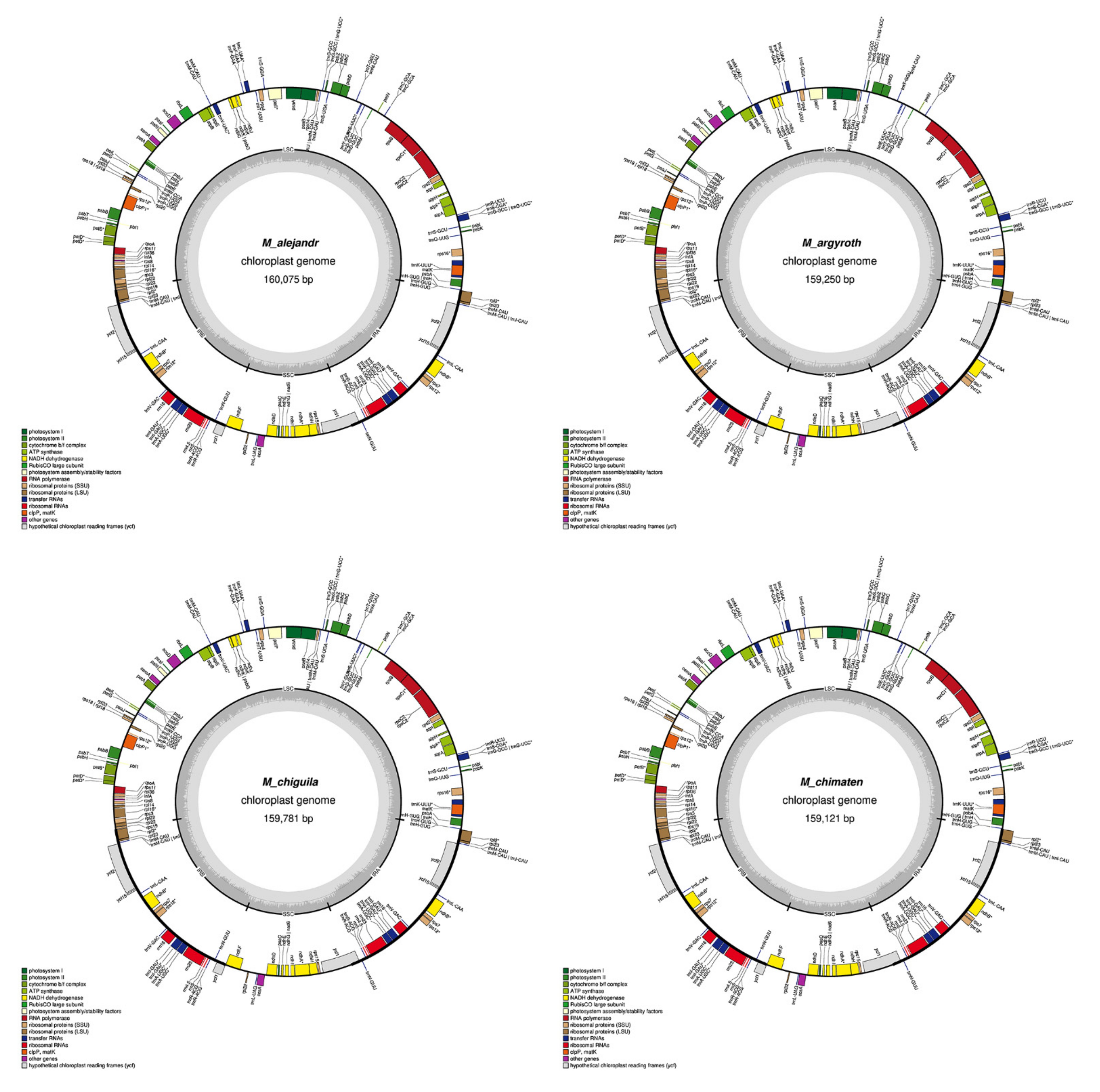 Plants 11 00448 g0a1a 550