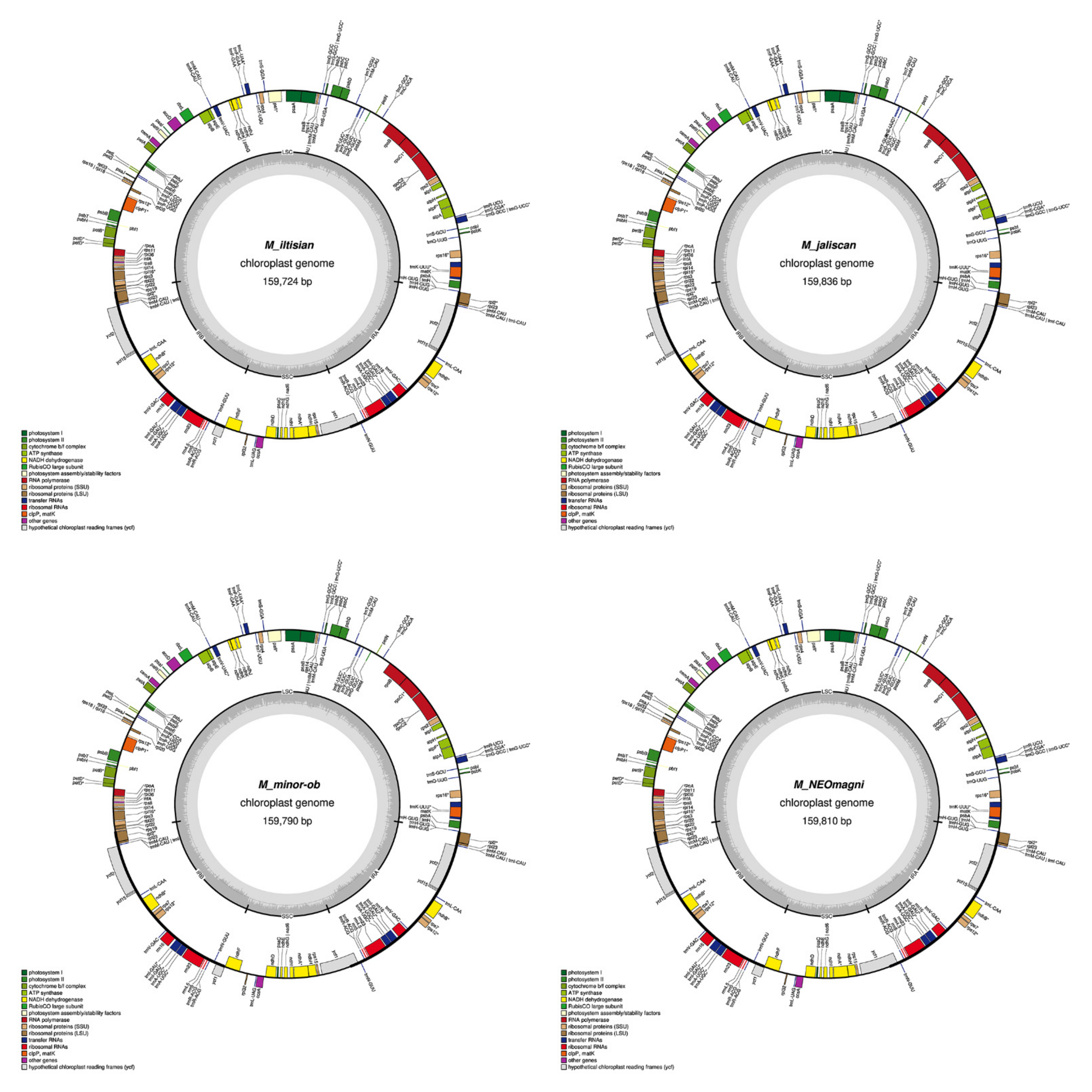 Plants 11 00448 g0a1c 550