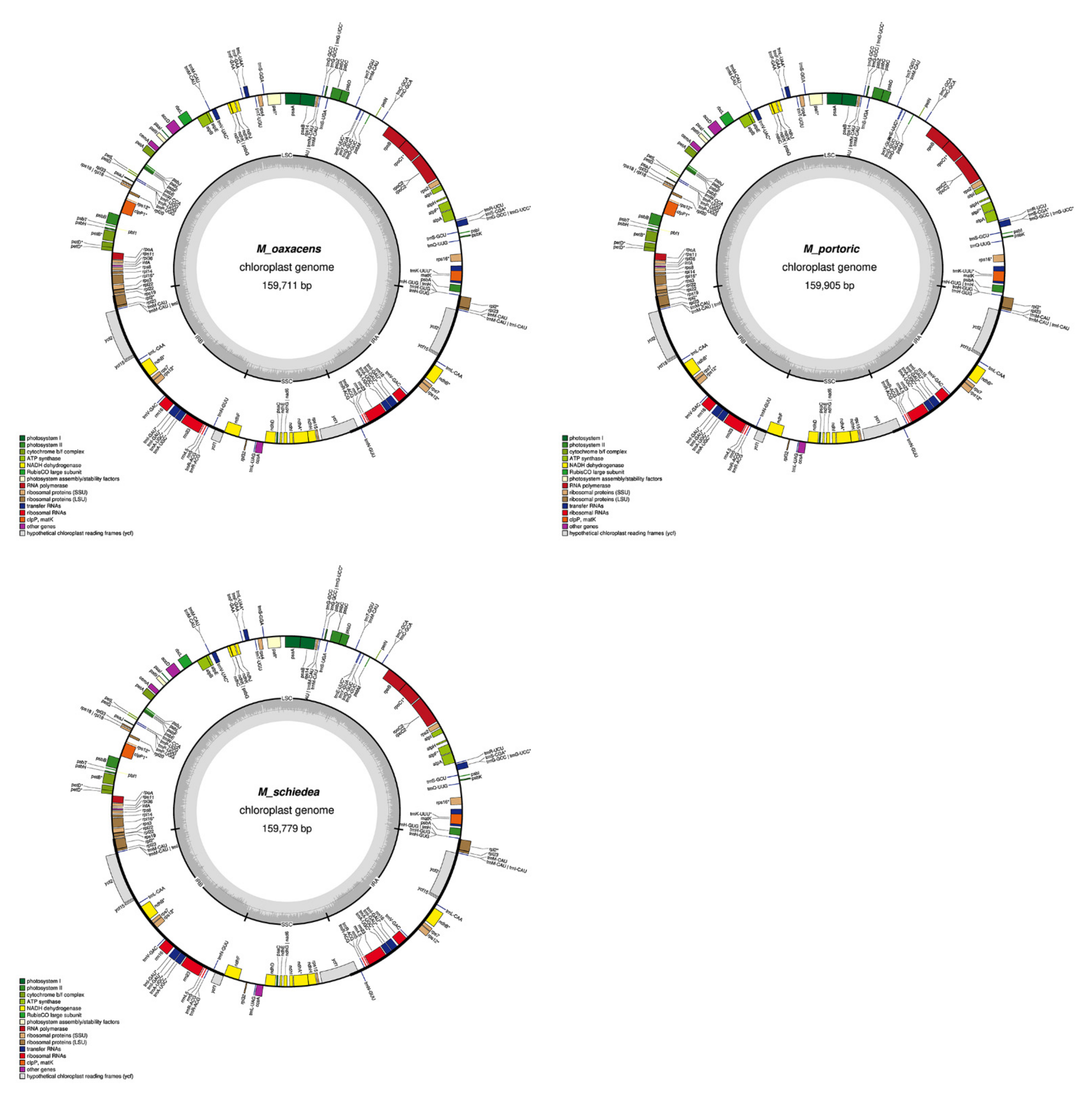 Plants 11 00448 g0a1d 550