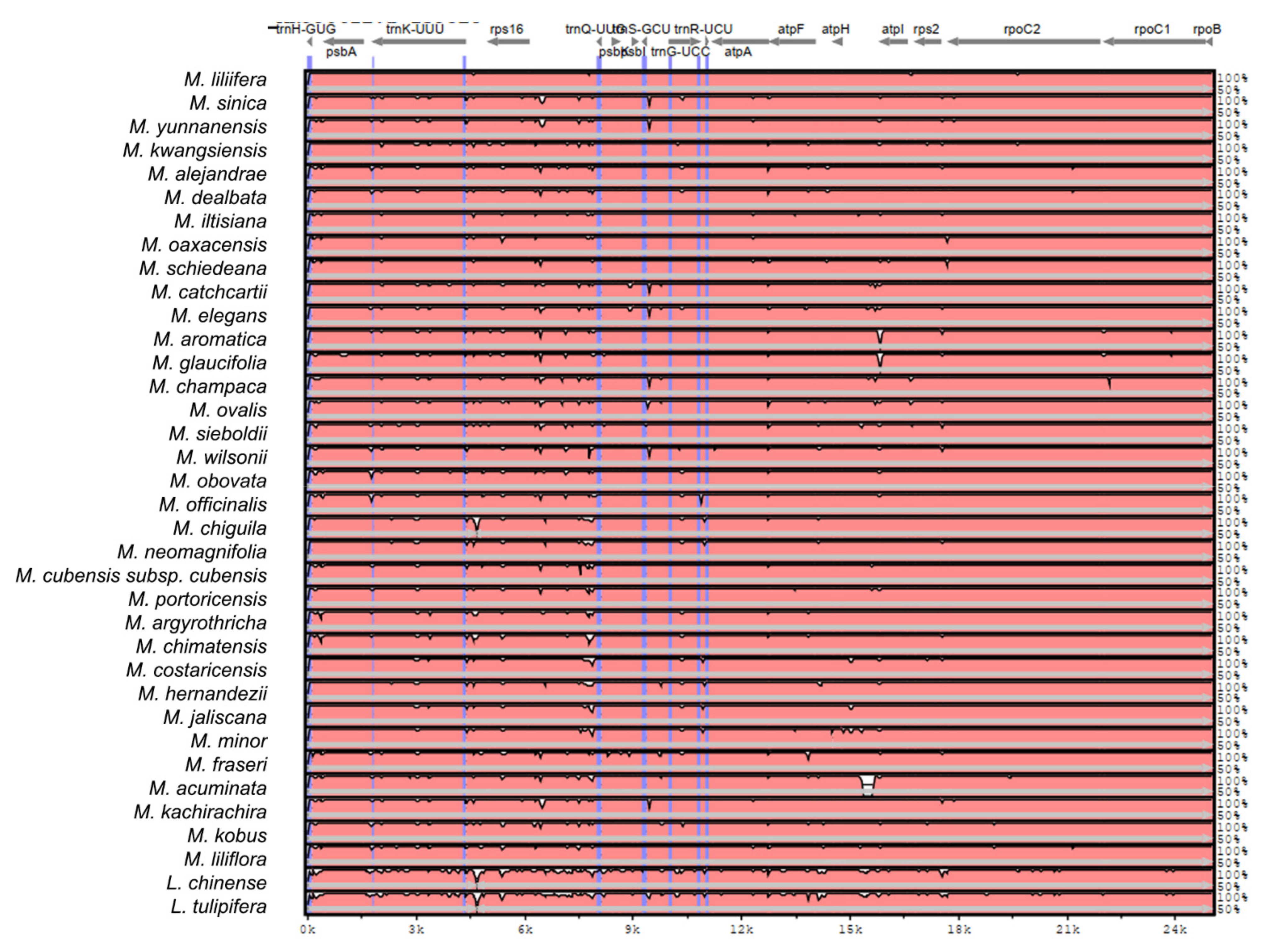 Plants 11 00448 g0a2a 550