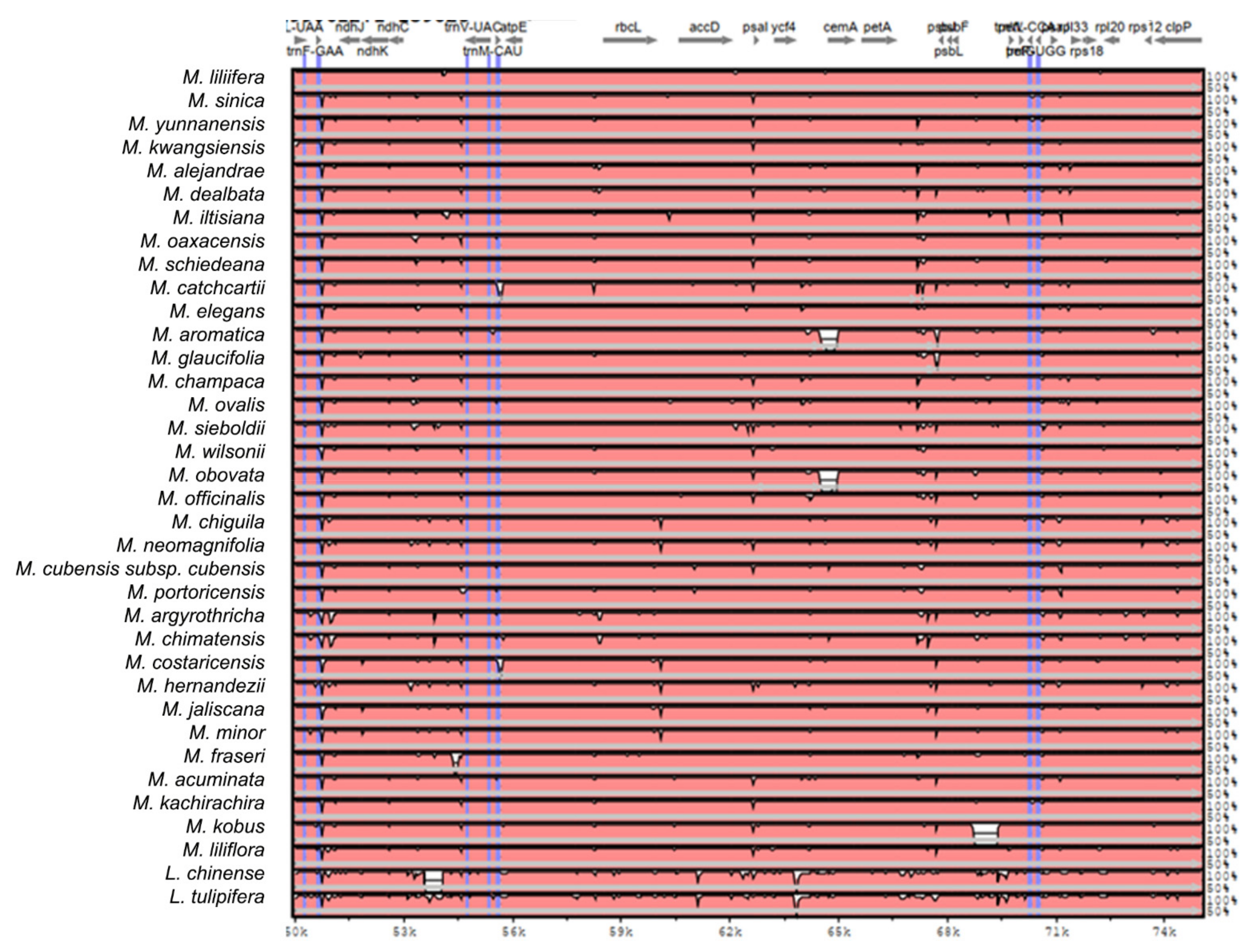 Plants 11 00448 g0a2c 550