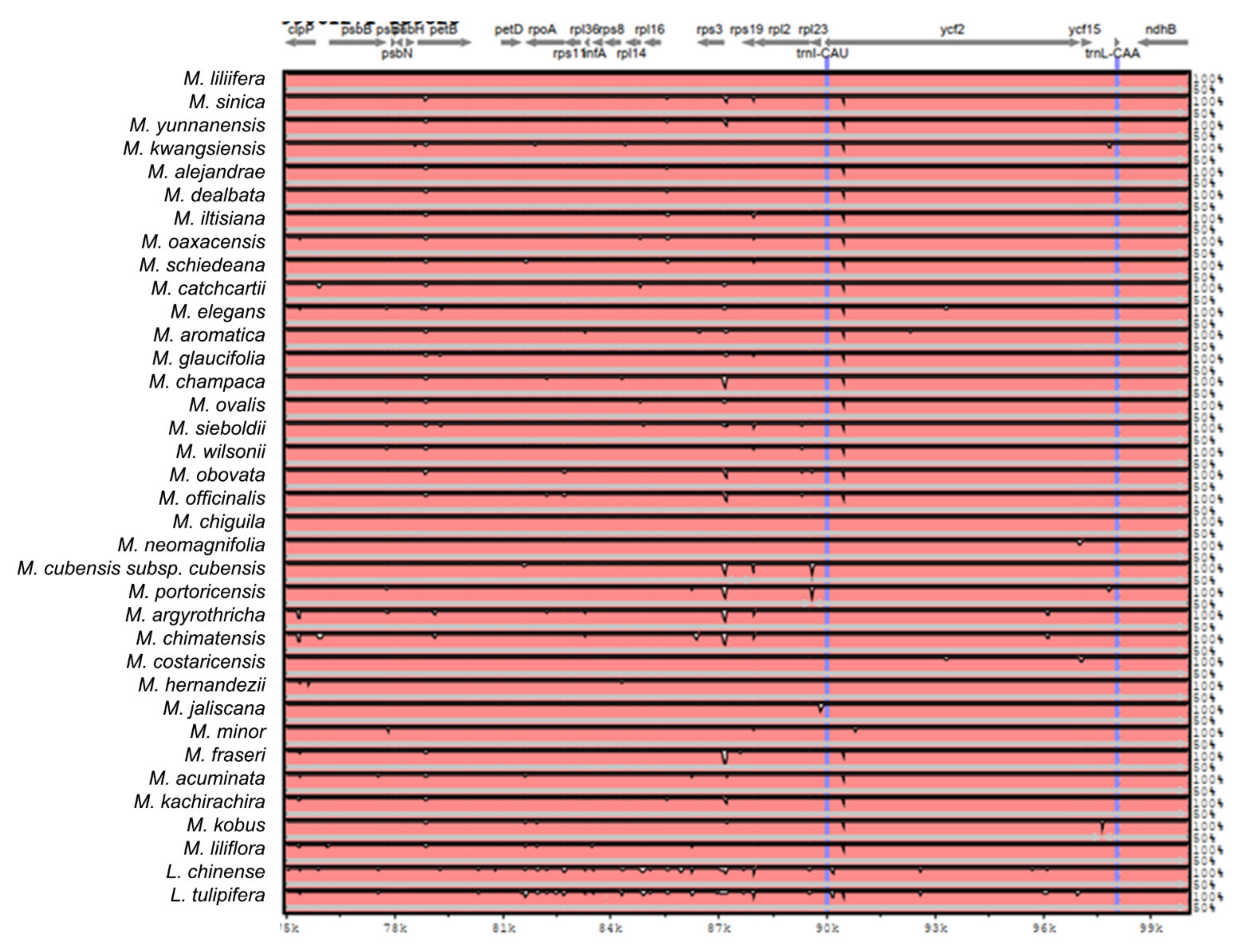 Plants 11 00448 g0a2d 550