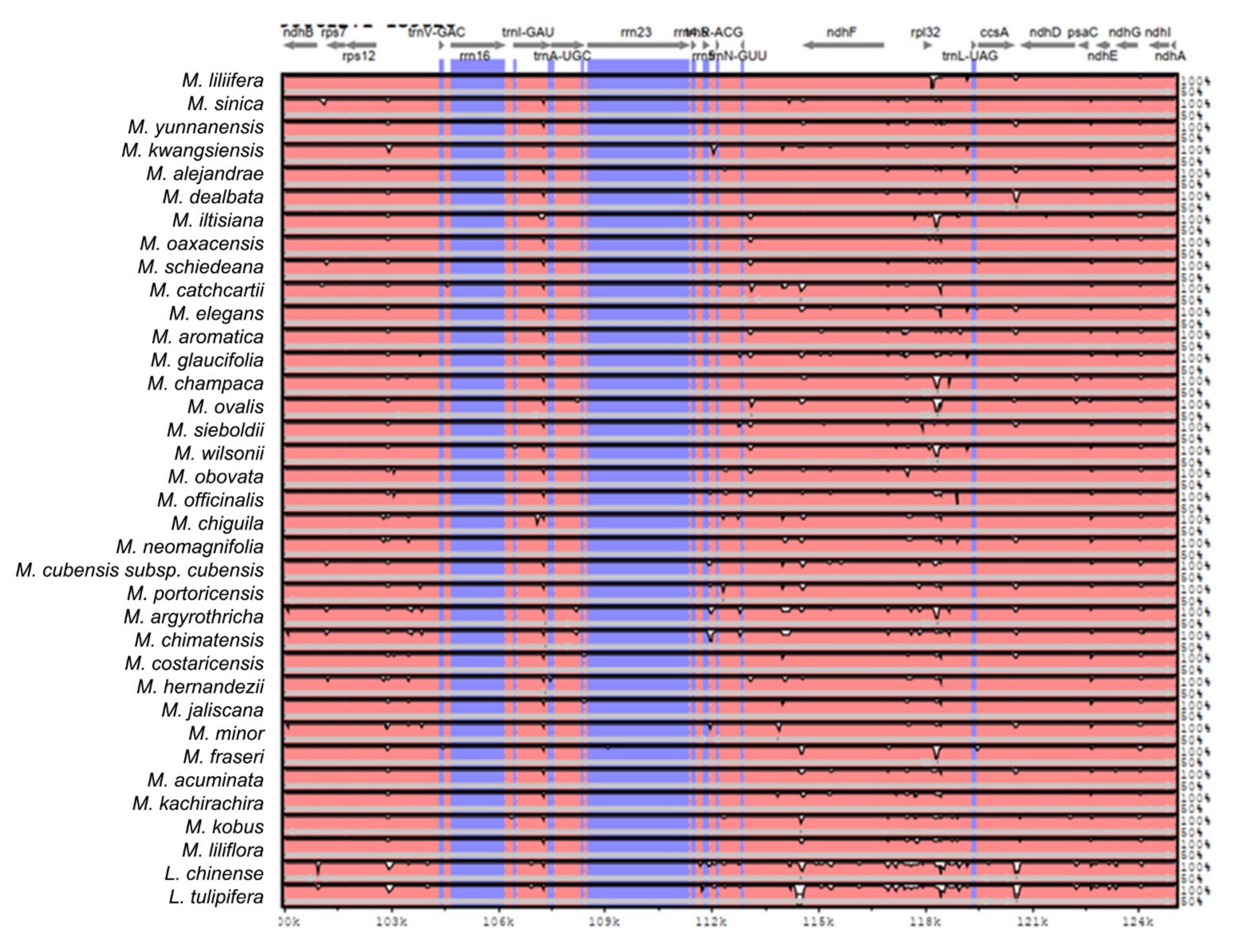 Plants 11 00448 g0a2e 550