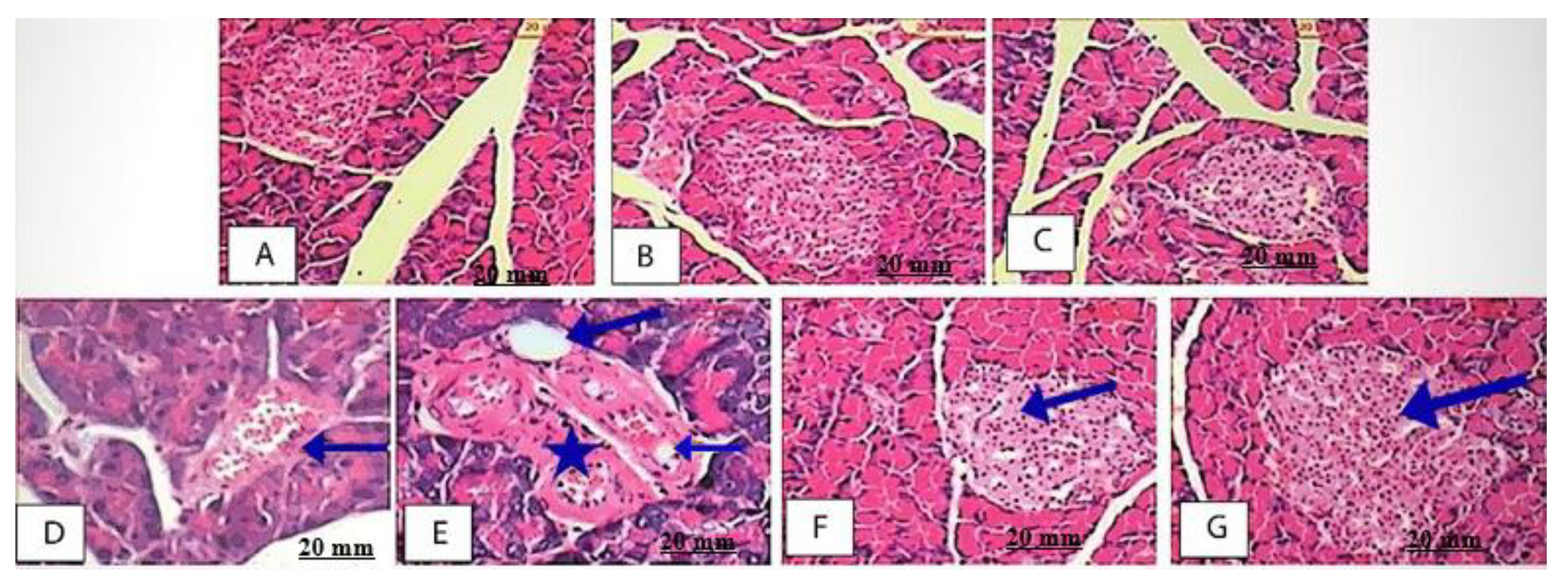 Plants 11 00452 g009