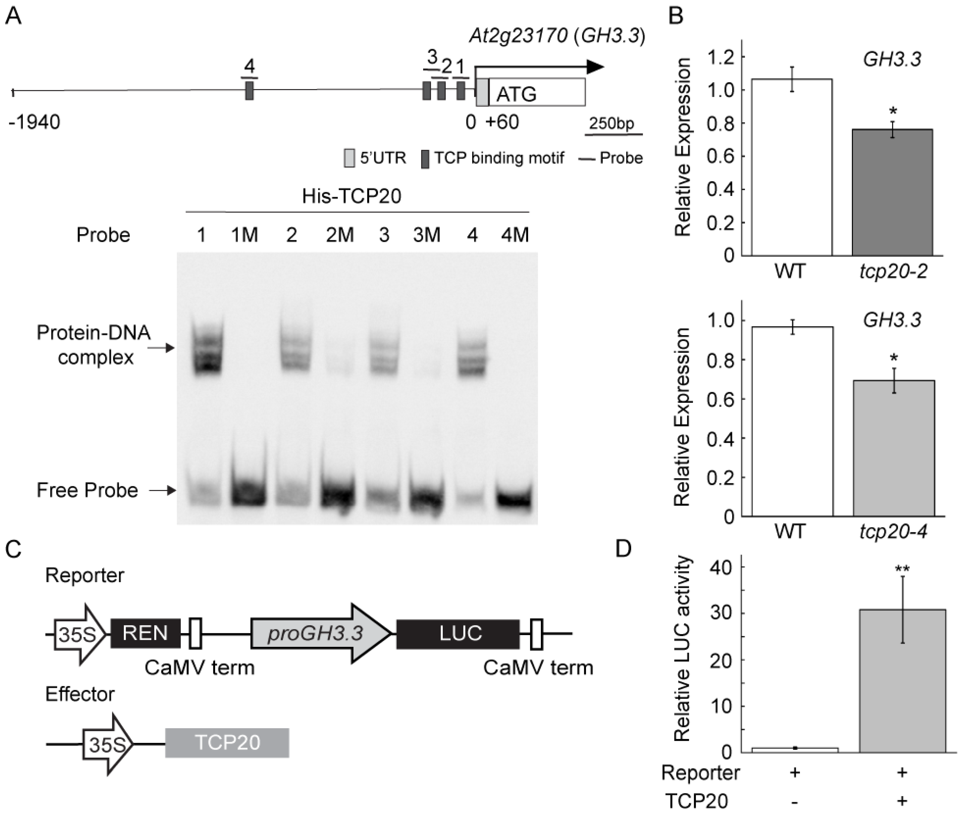 Plants 11 00454 g002 550