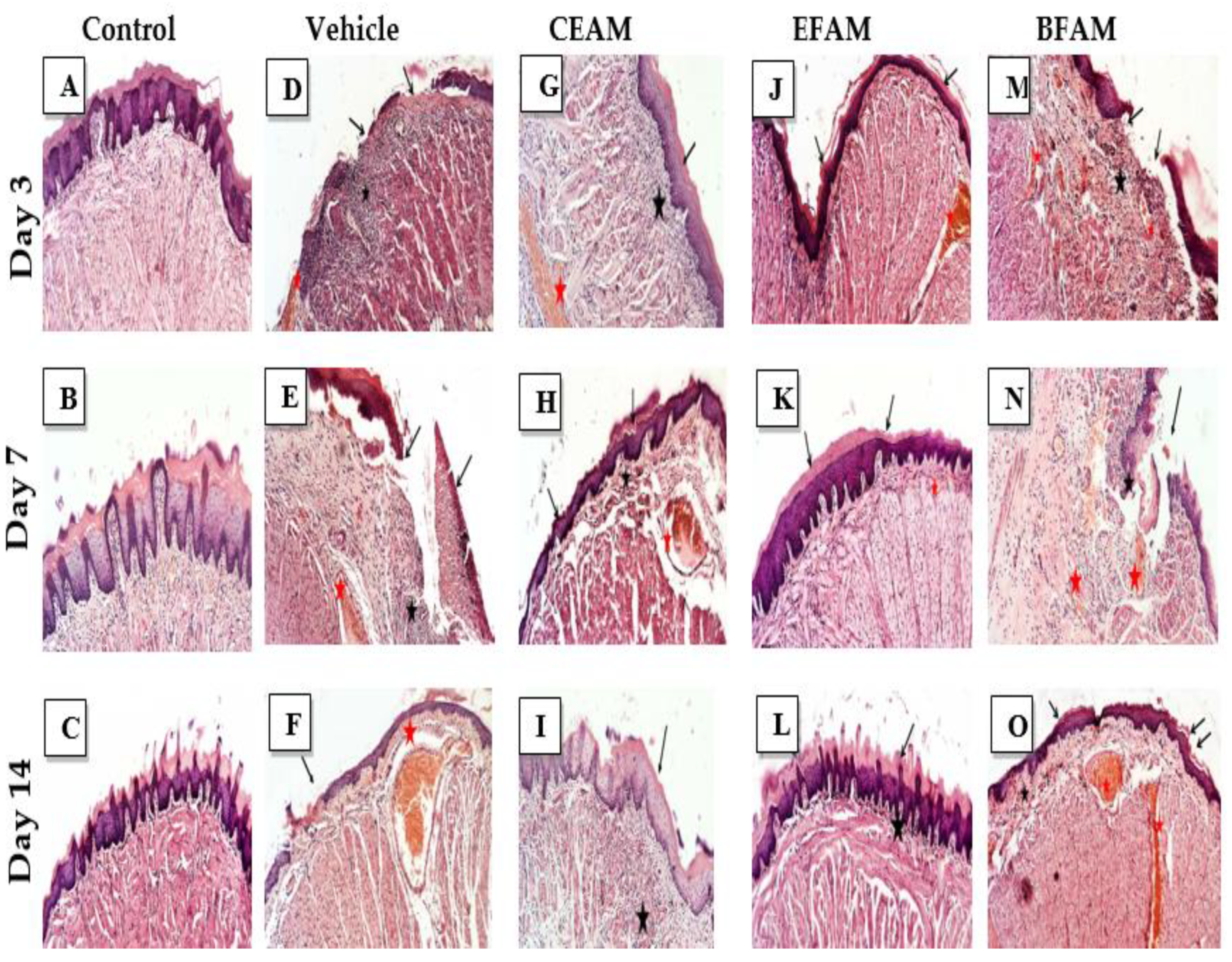 Plants 11 00455 g003 550