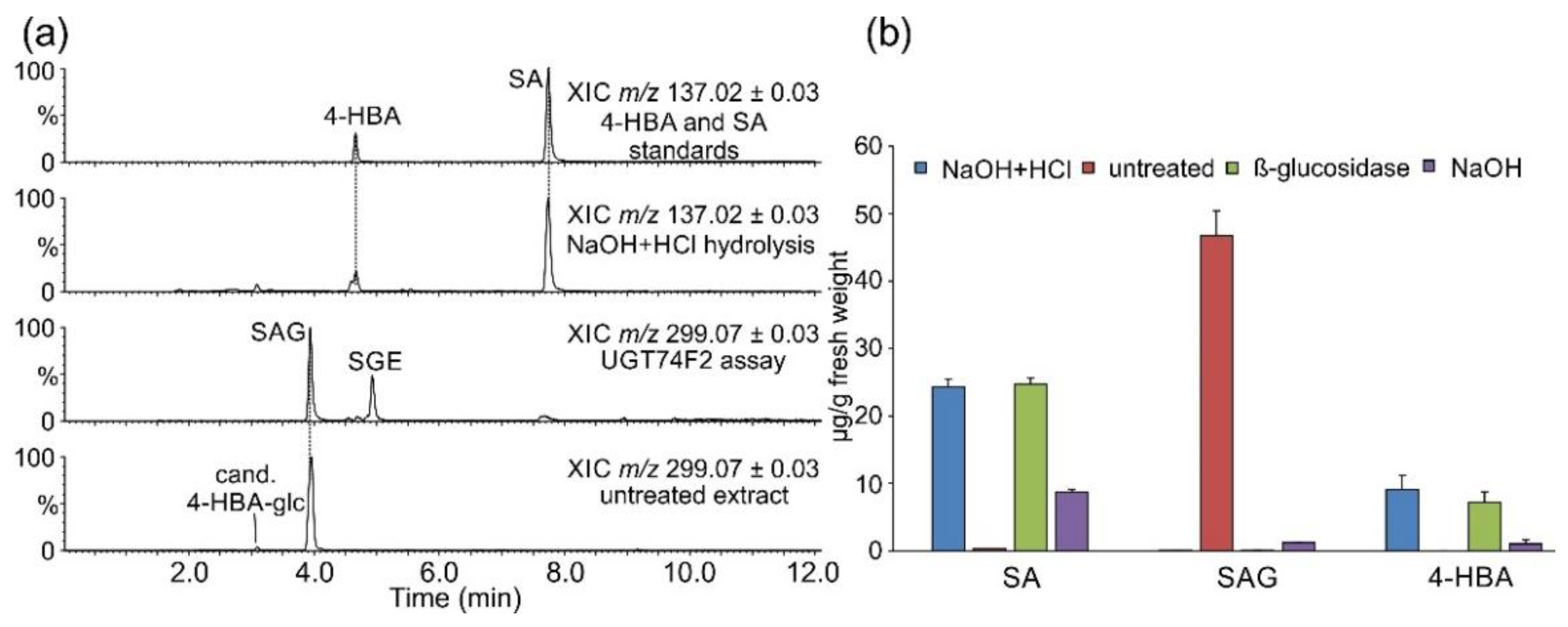 Plants 11 00461 g001 550