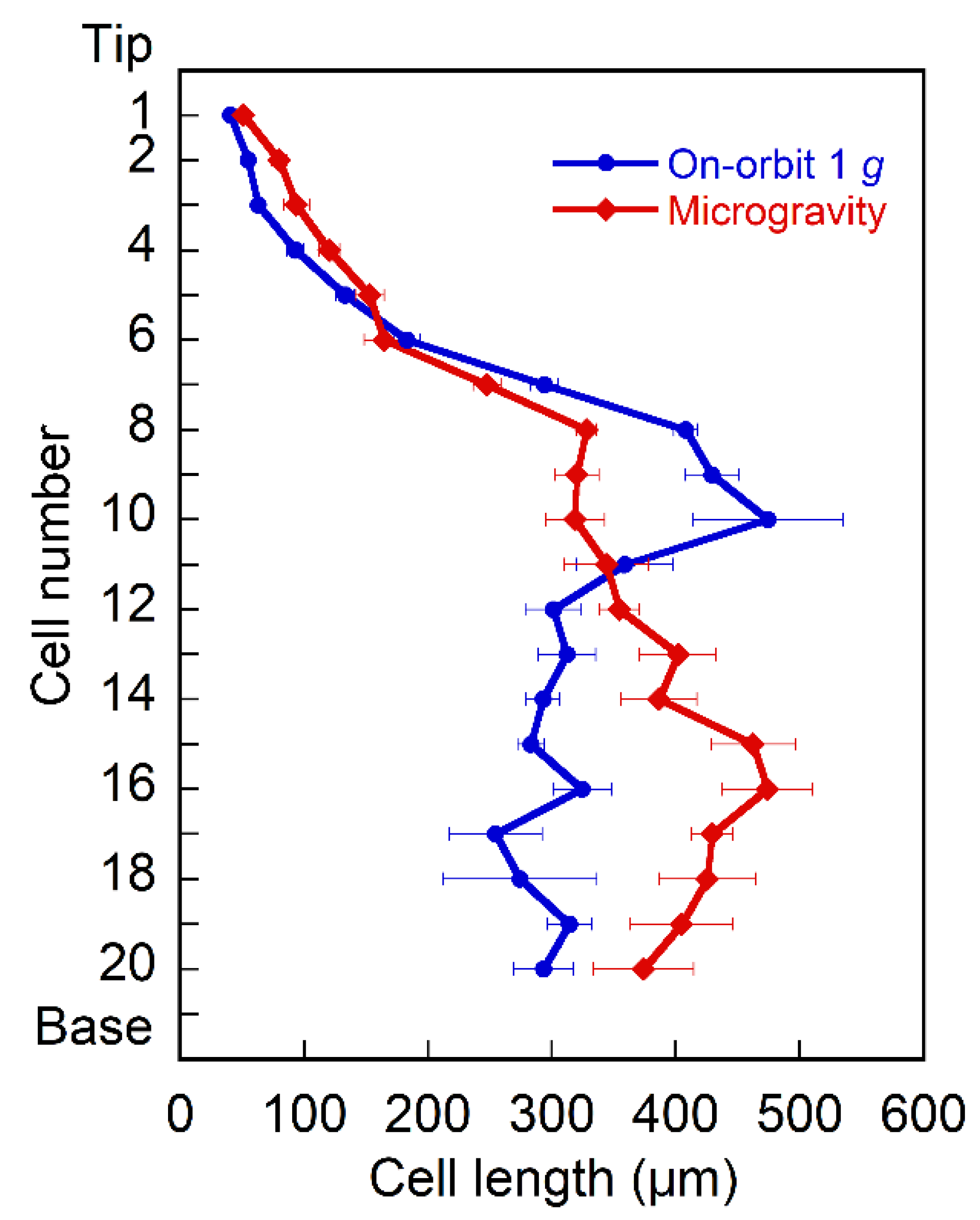 Plants 11 00465 g001 Plants 11 00465 g001