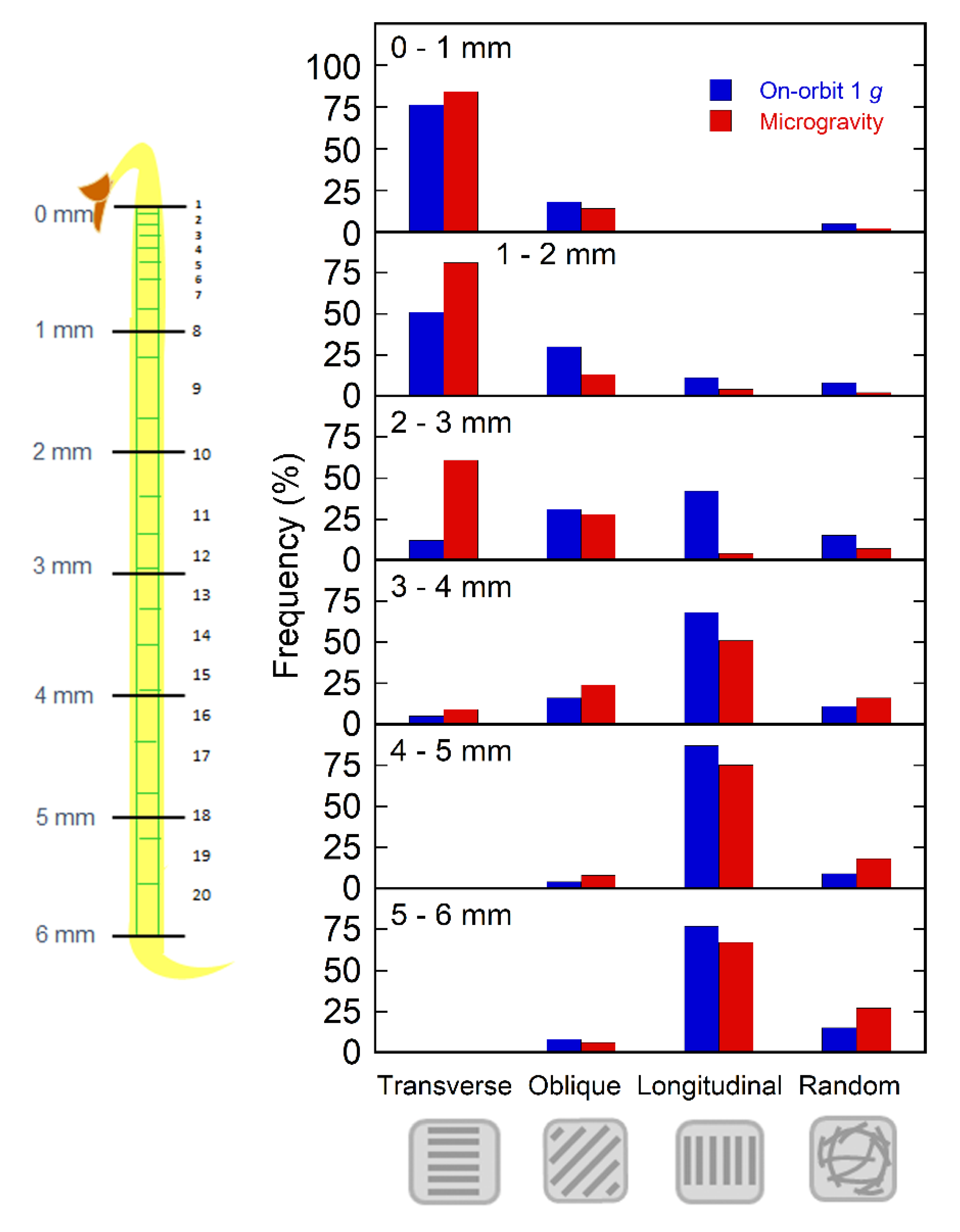 Plants 11 00465 g002 Plants 11 00465 g002