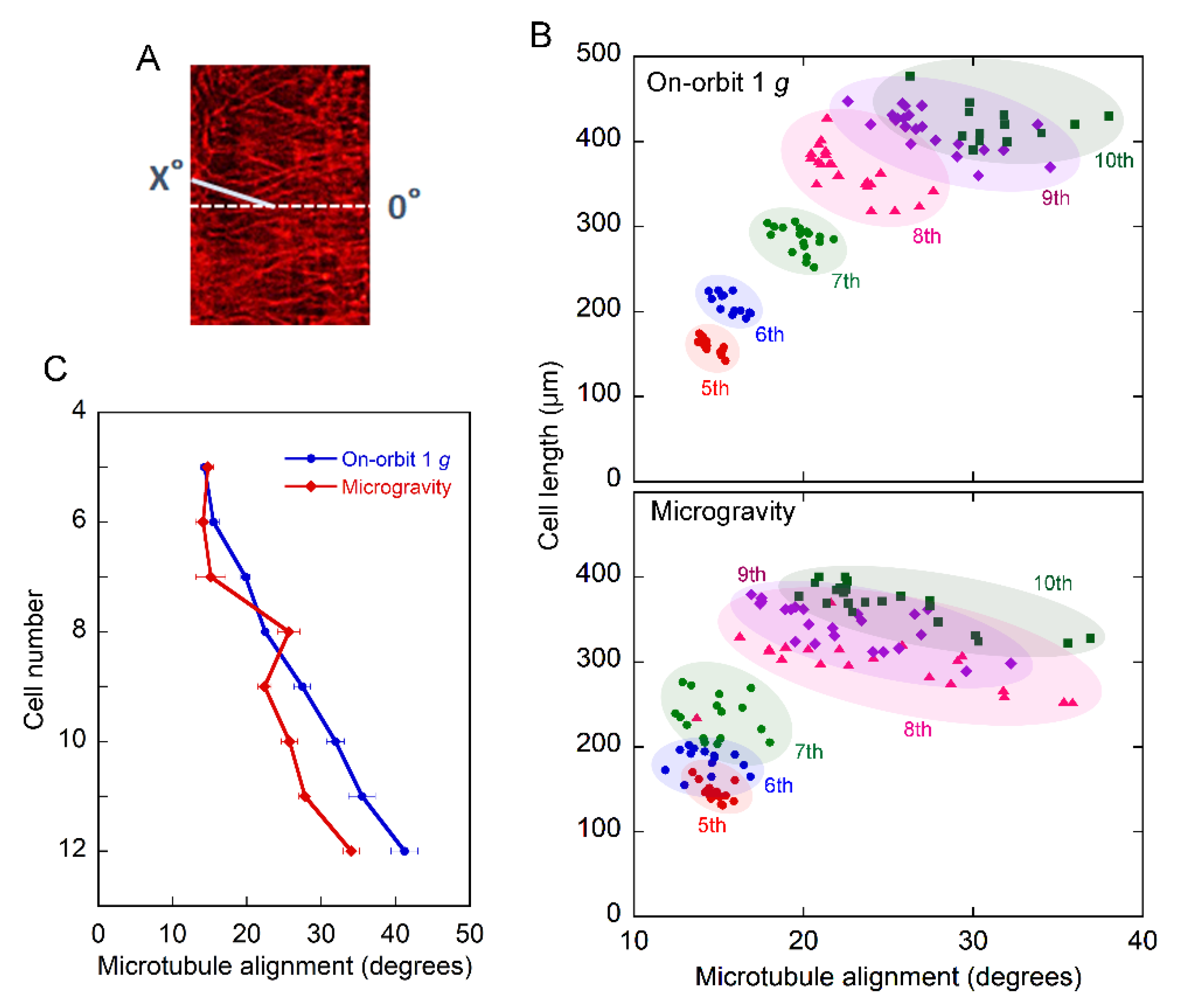 Plants 11 00465 g003 Plants 11 00465 g003