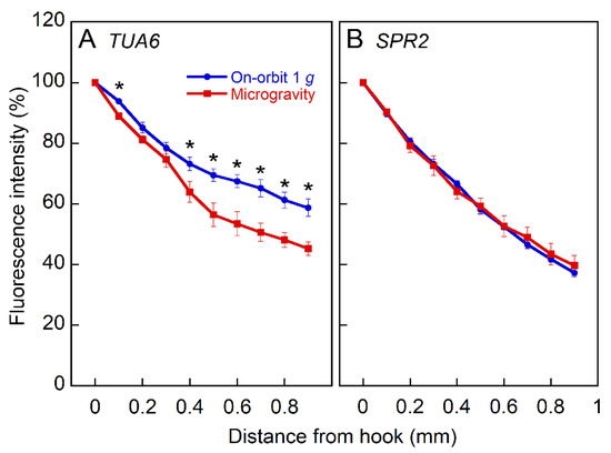 the l word tua serie