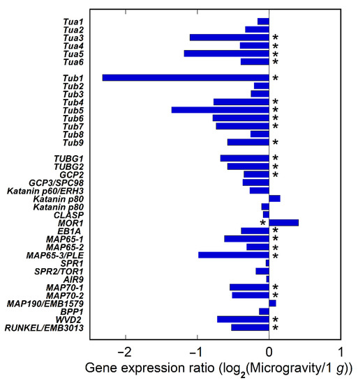 the l word tua serie