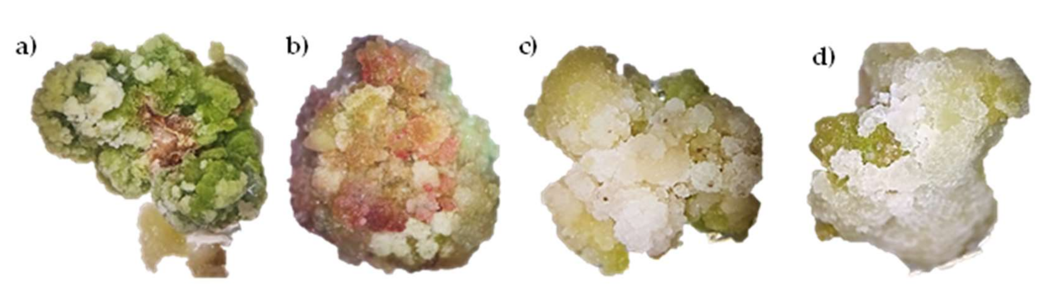 Plants 11 00473 g002