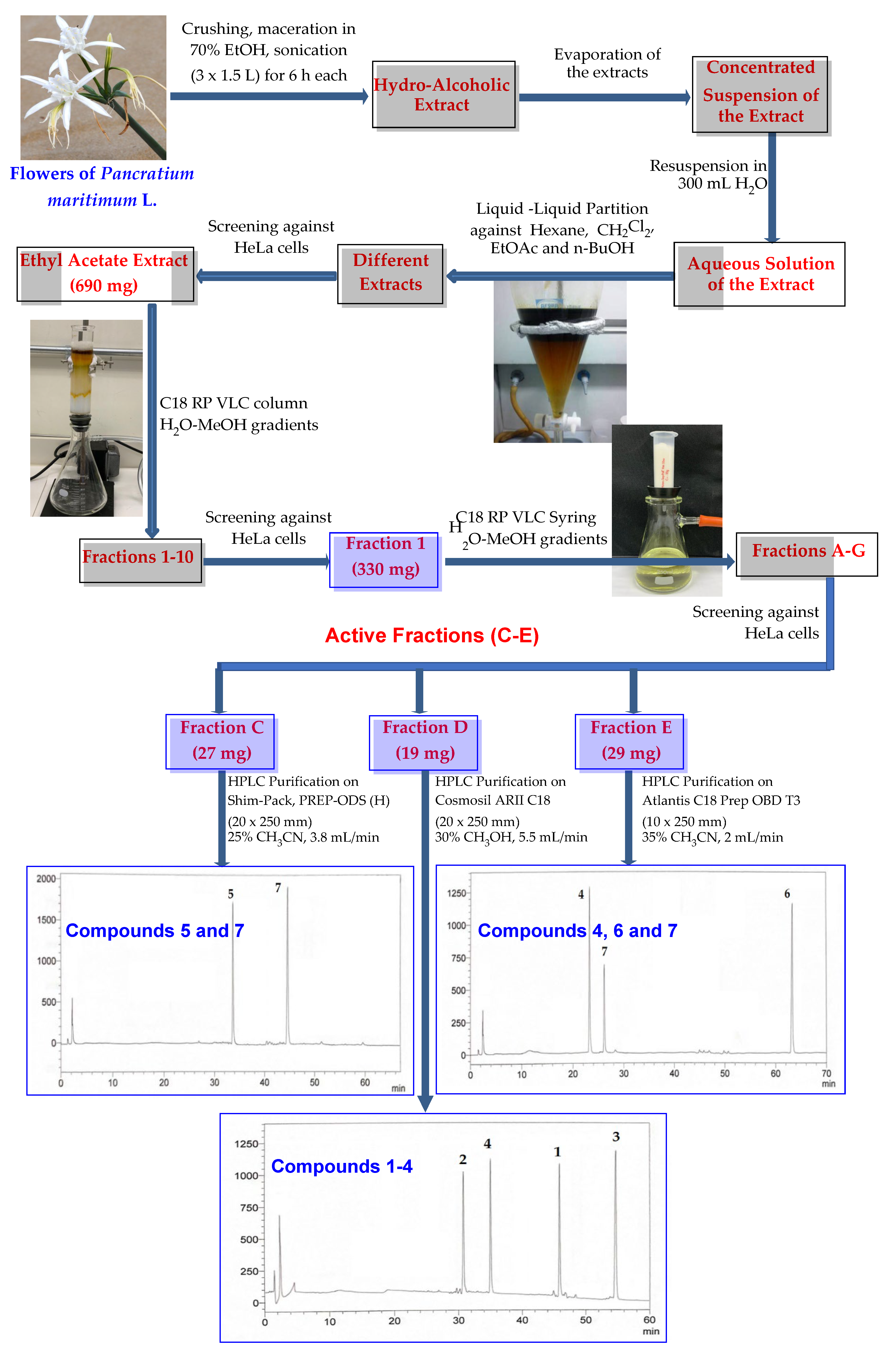 Plants 11 00476 sch001 550