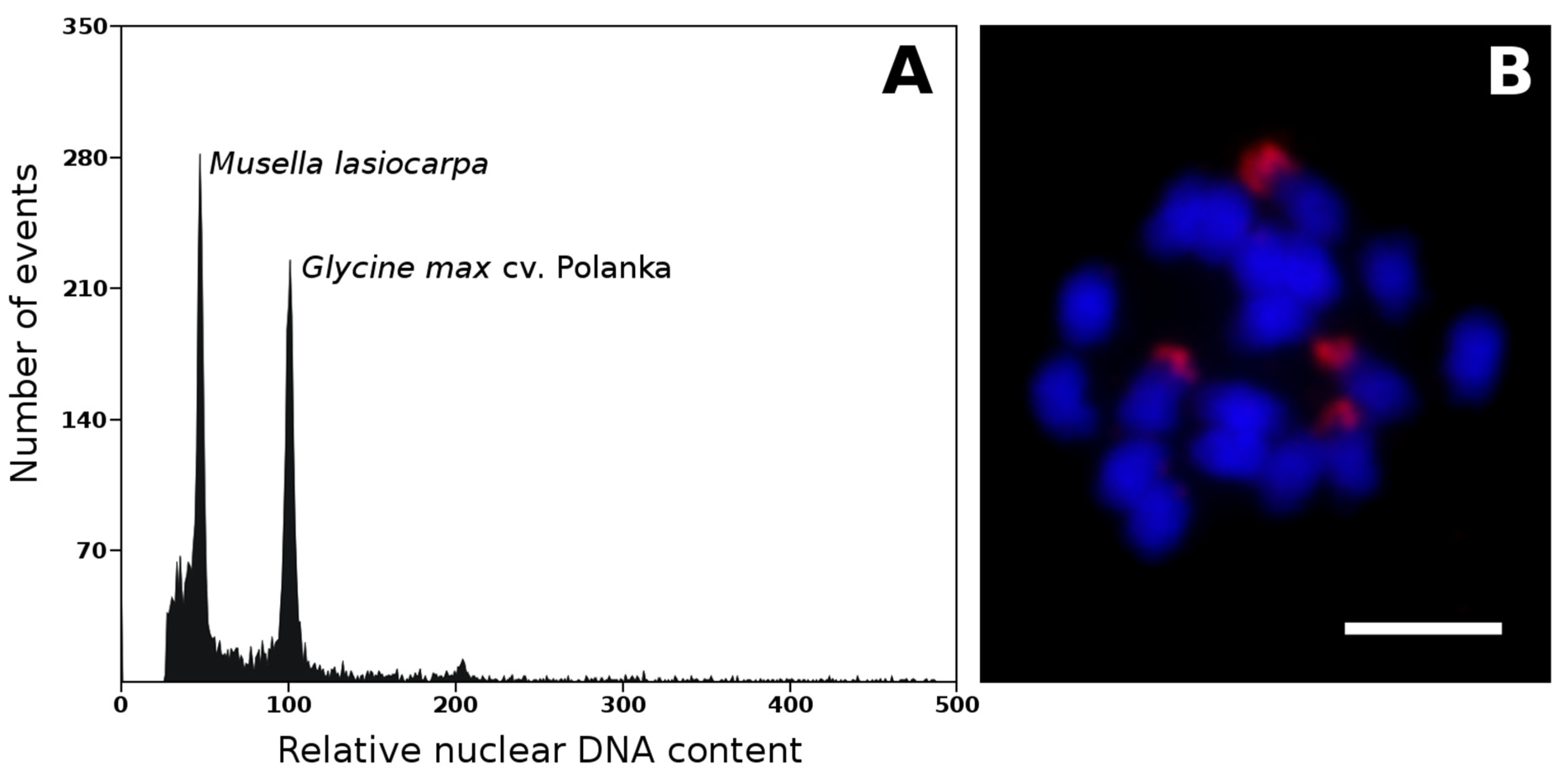 Plants 11 00482 g001 Plants 11 00482 g001