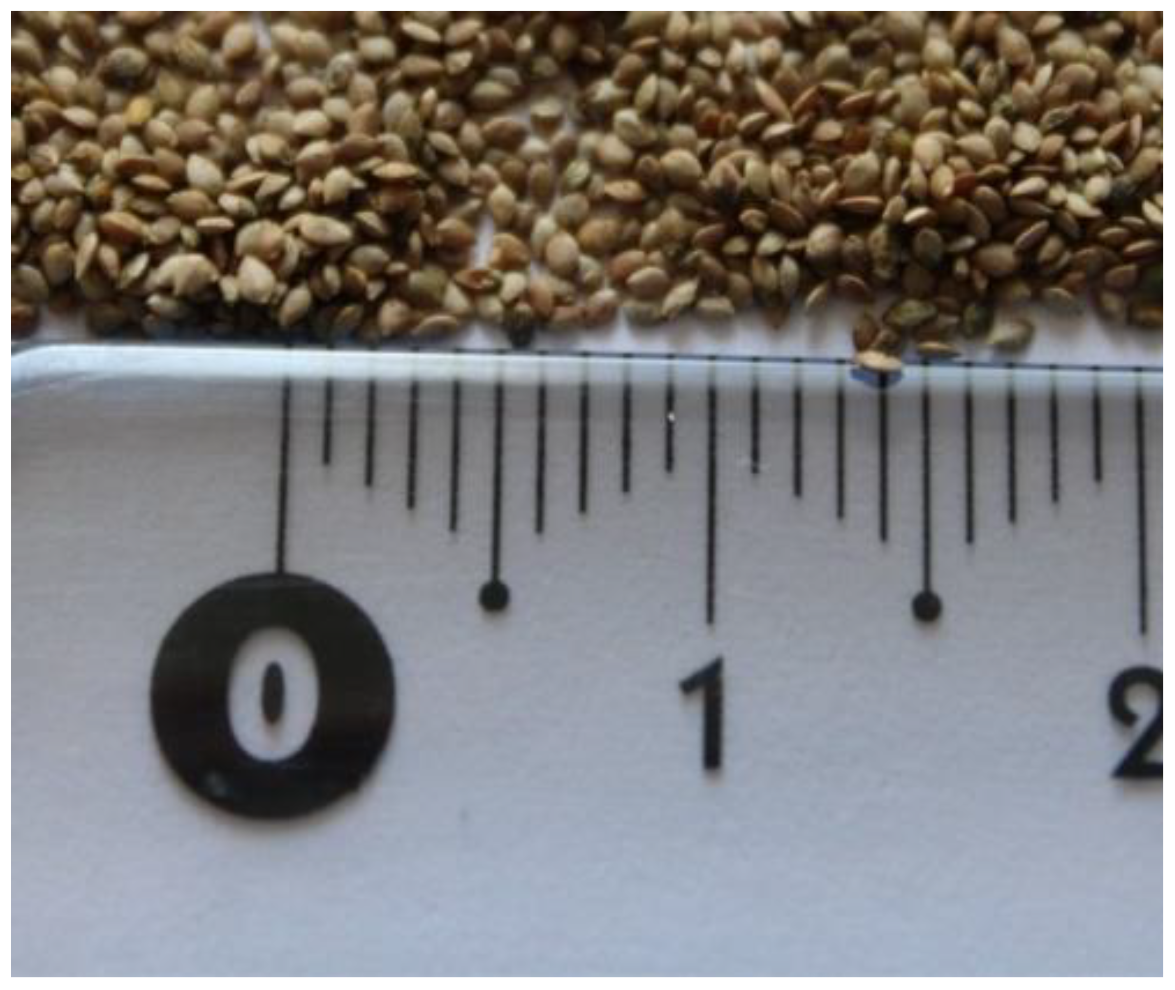 Plants 11 00483 g001 550