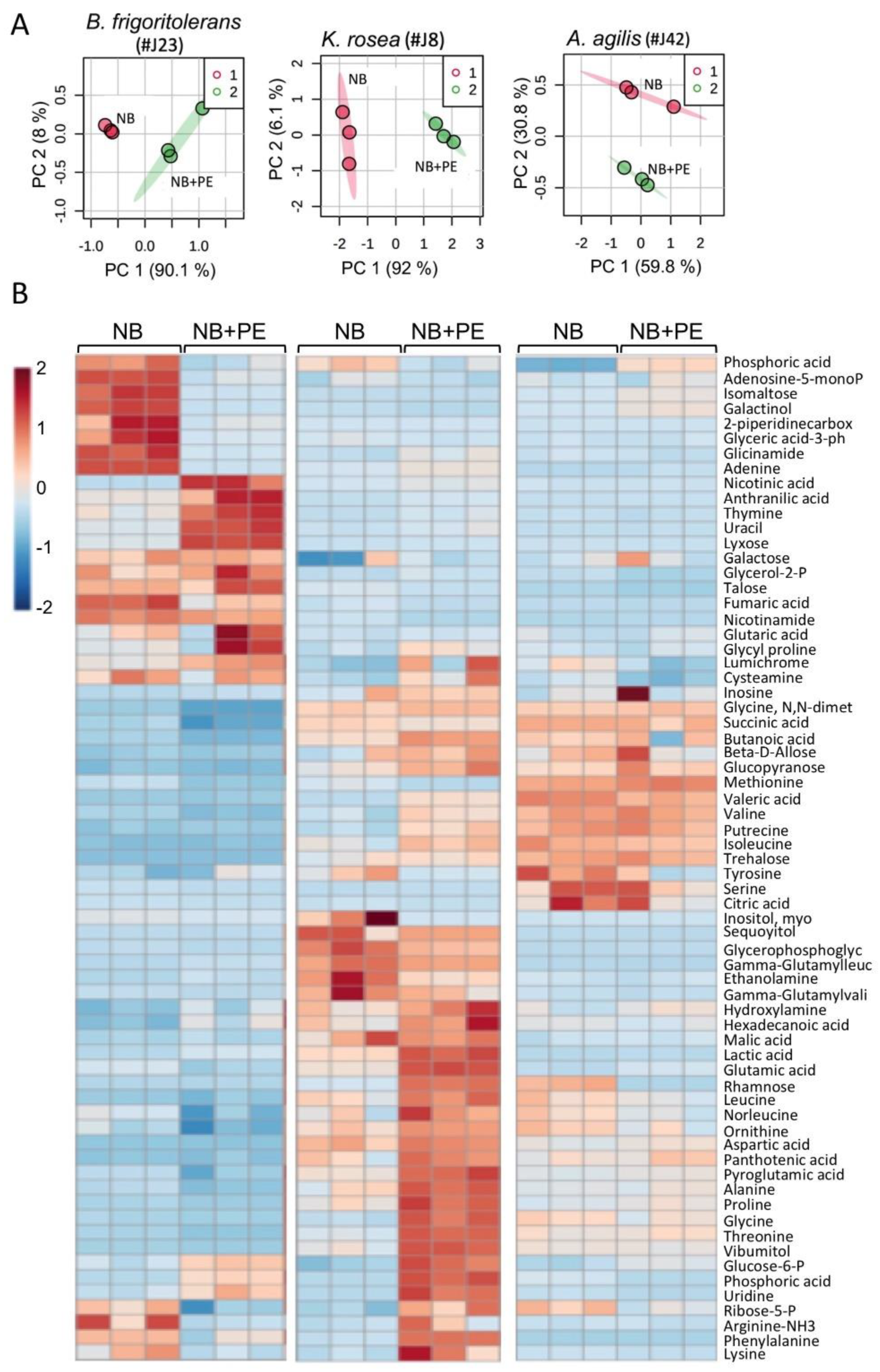 Plants 11 00484 g004