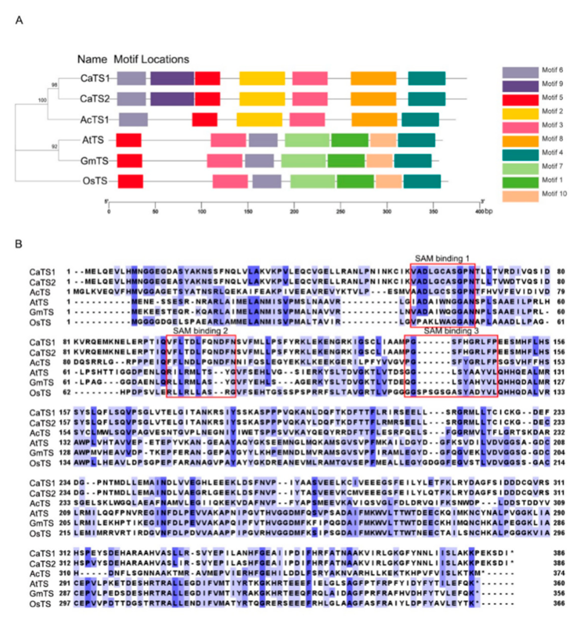 Plants 11 00487 g003 550