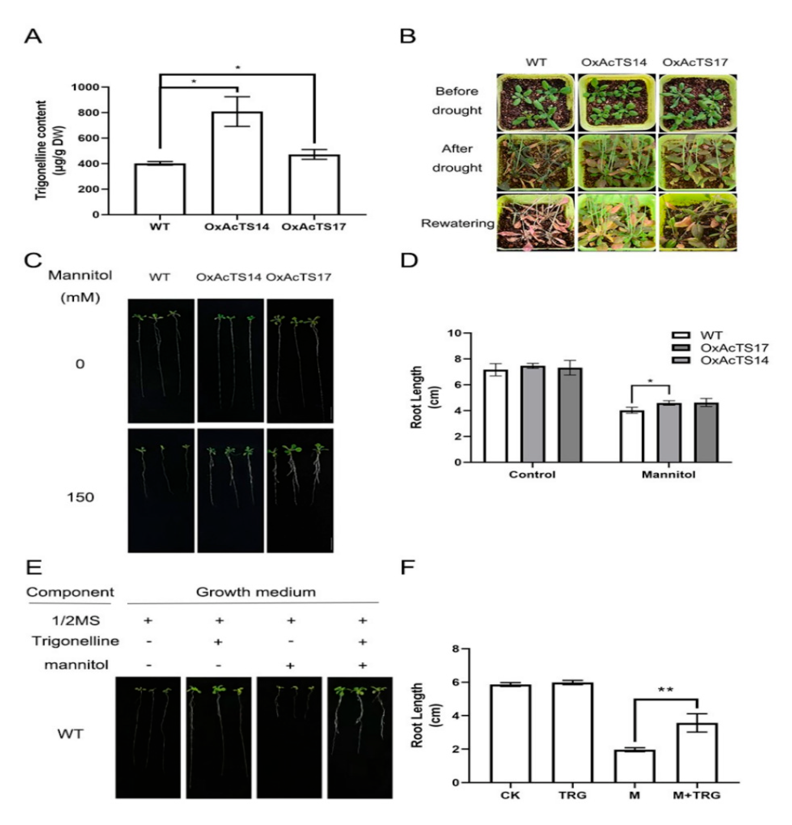Plants 11 00487 g005 550