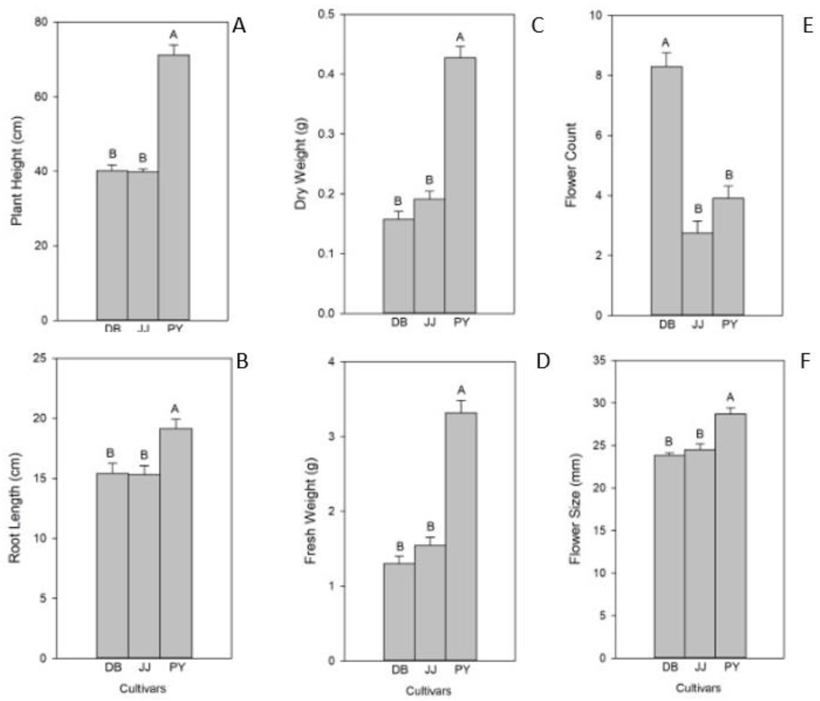 Plants 11 00491 g003