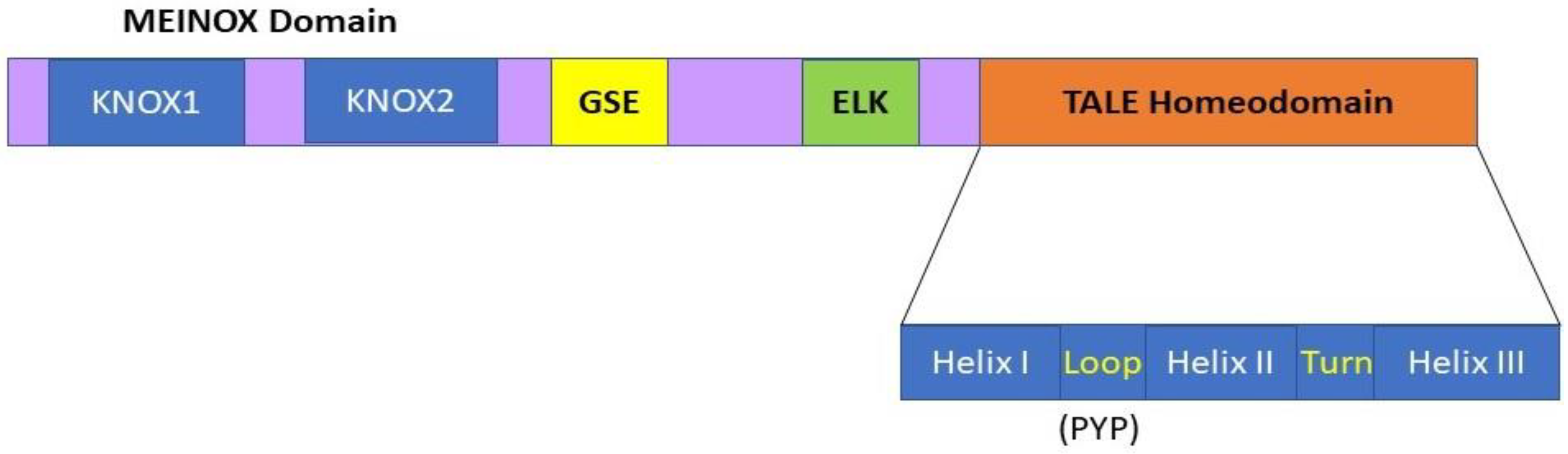 Plants 11 00493 g001 Plants 11 00493 g001