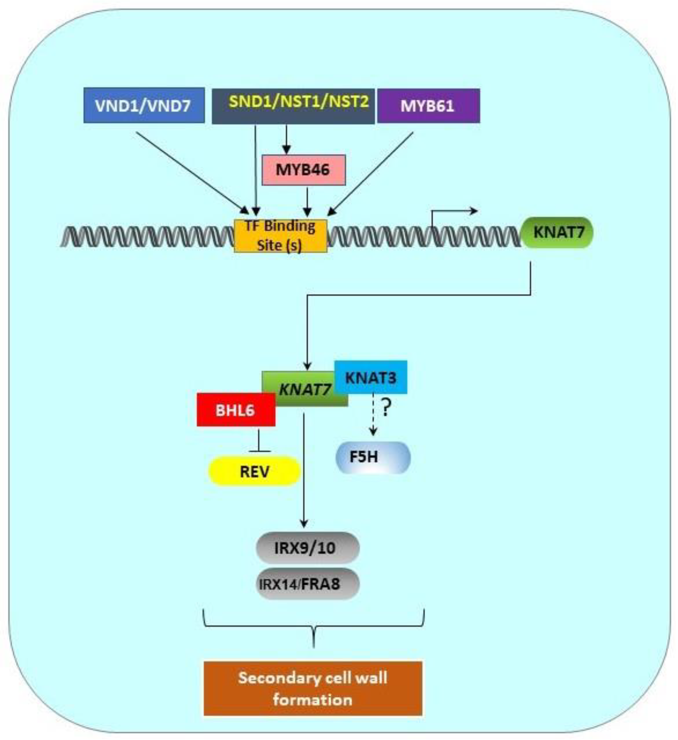 Plants 11 00493 g002 Plants 11 00493 g002