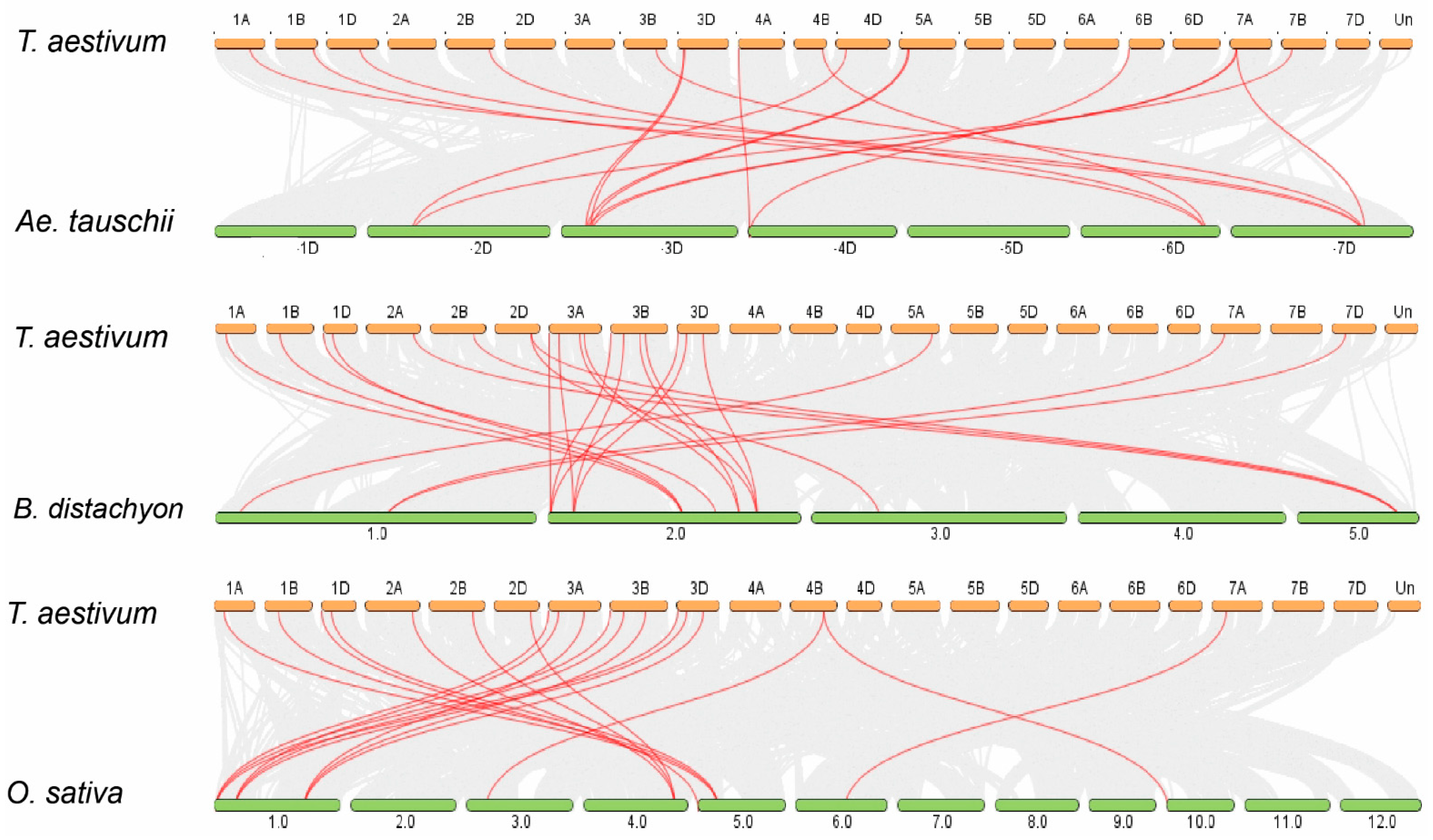 Plants 11 00496 g003