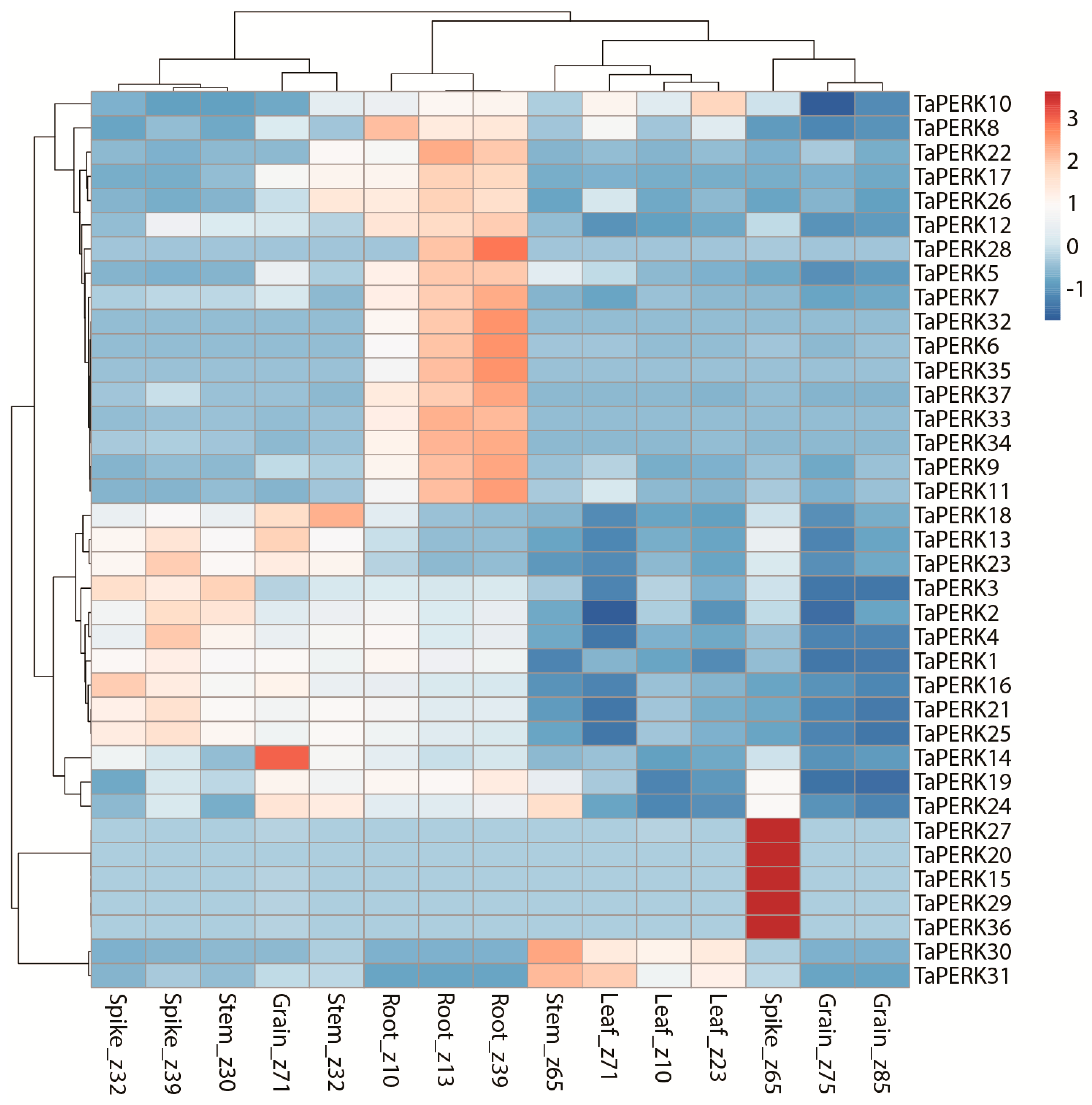 Plants 11 00496 g008