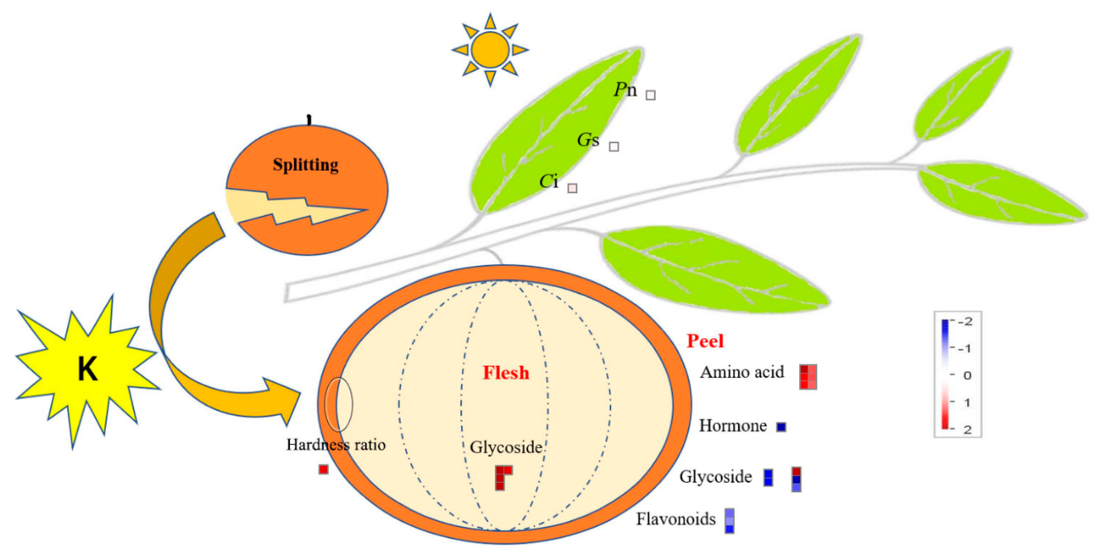 Plants 11 00499 g006 550